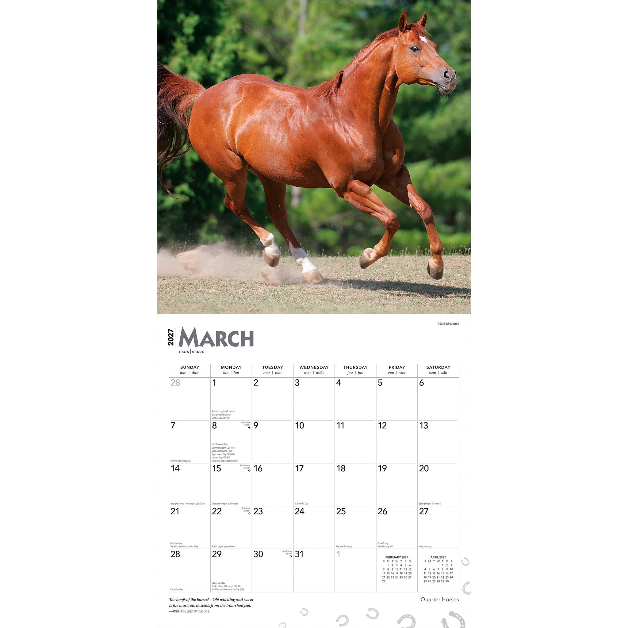 Quarter Horses 2027 Wall Calendar - Online Only