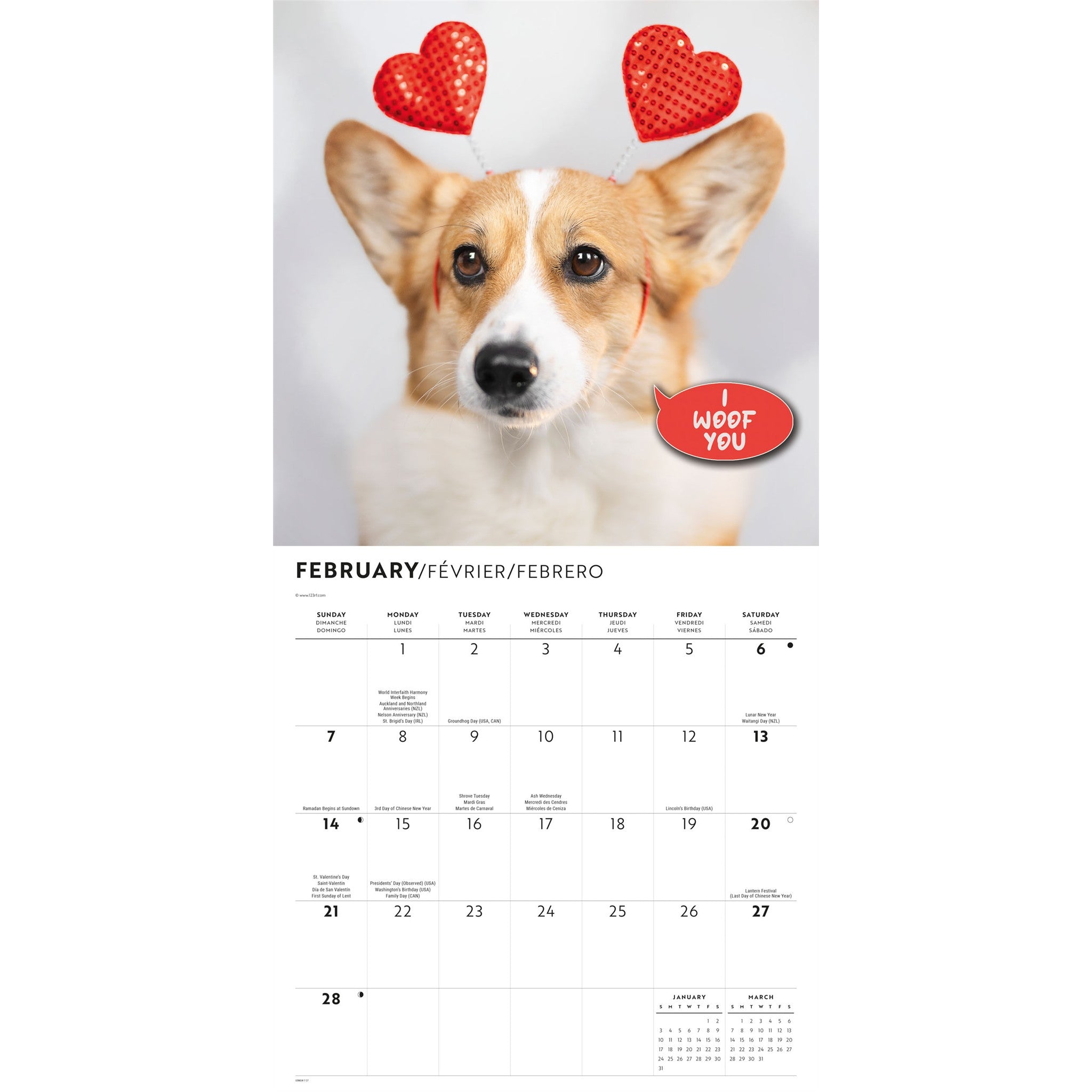 Calendrier mural Corgi Capers 2027