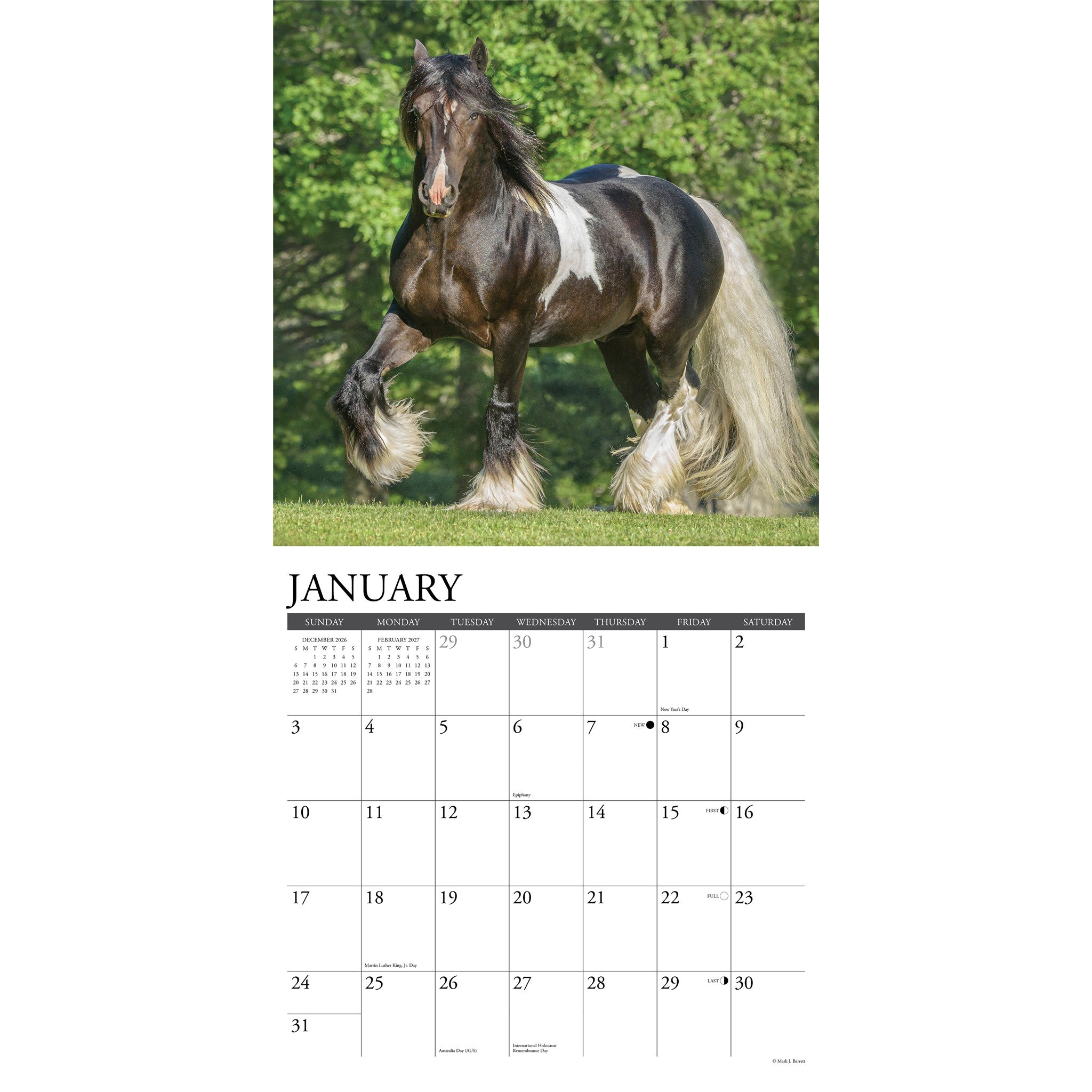 Gypsy Vanner Horse 2027 Wall Calendar