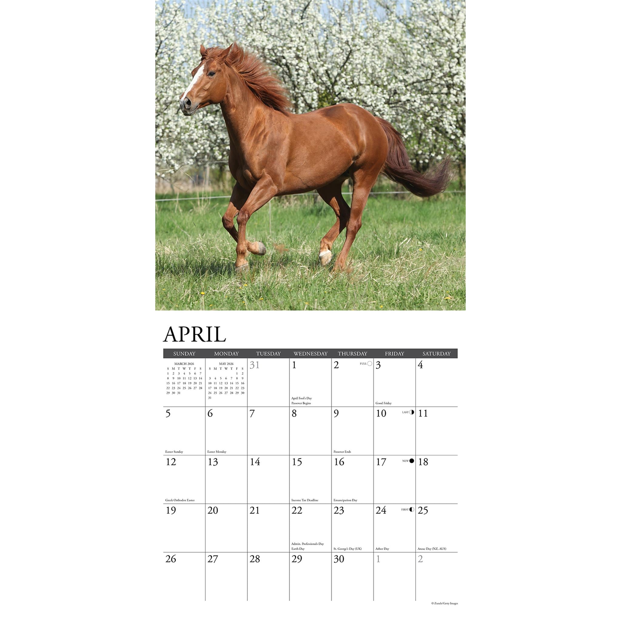 American Quarter Horses 2026 Wall Calendar