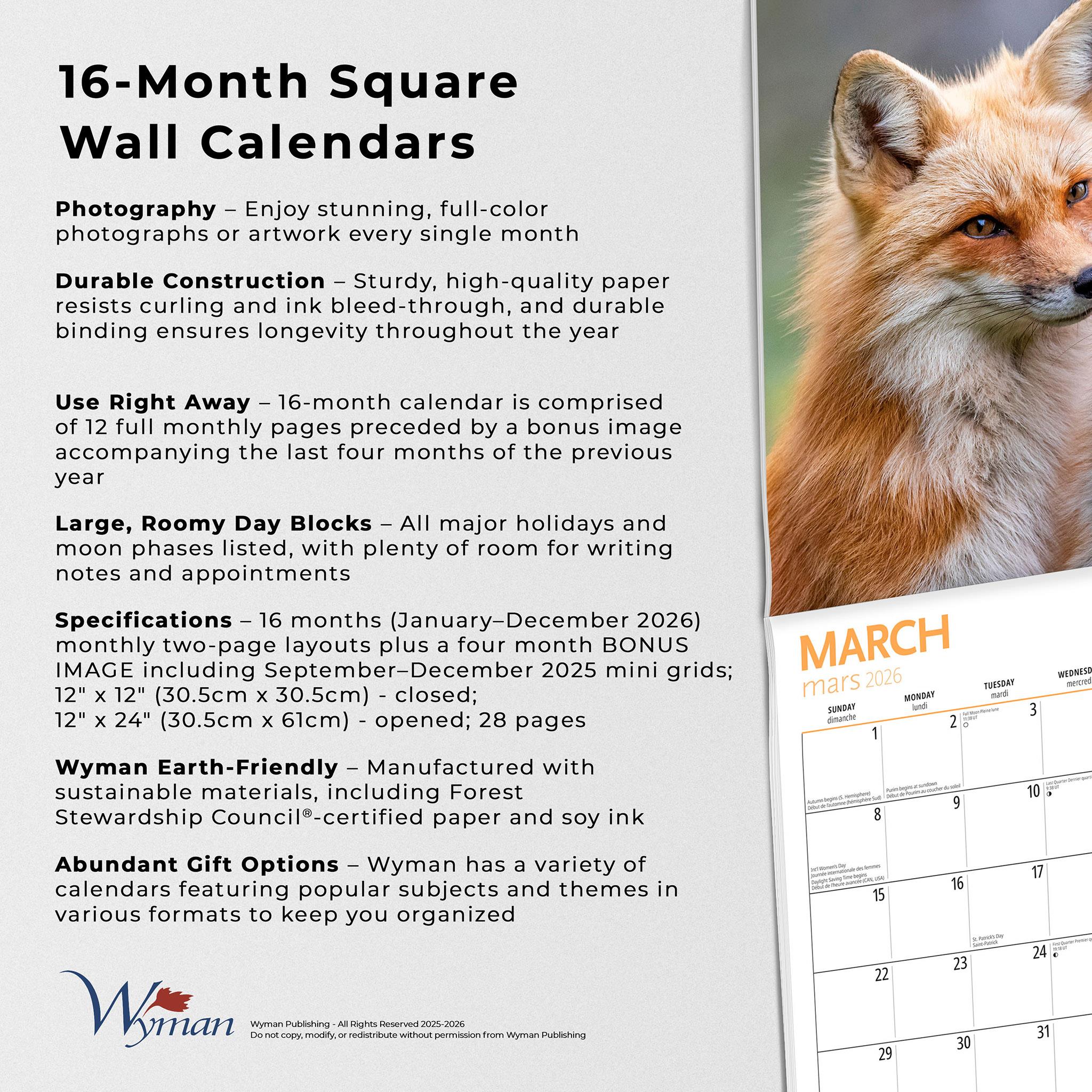 Calendrier mural Canadian Geographic Foxes 2026 - Disponible uniquement en ligne