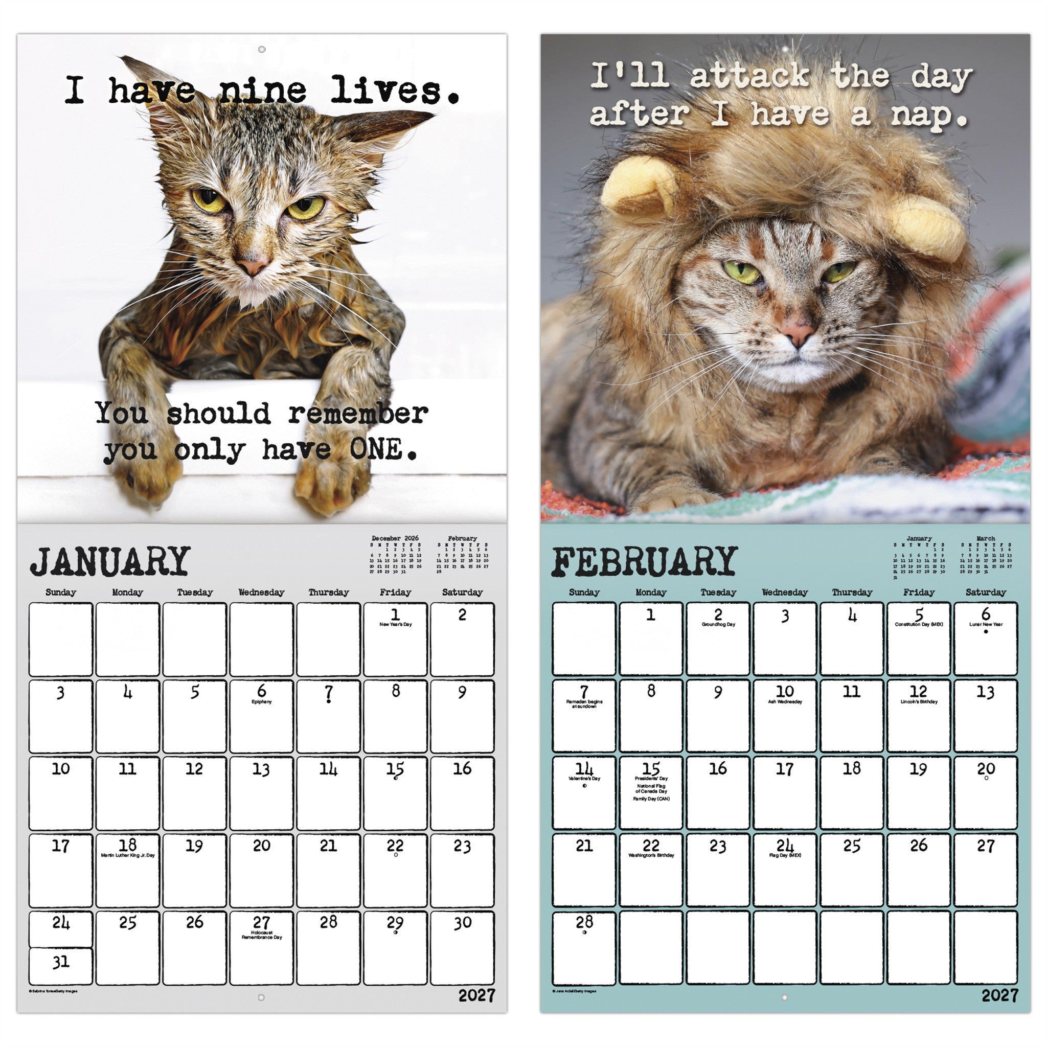 Snarcatstic 2027 Wall Calendar - Online Only