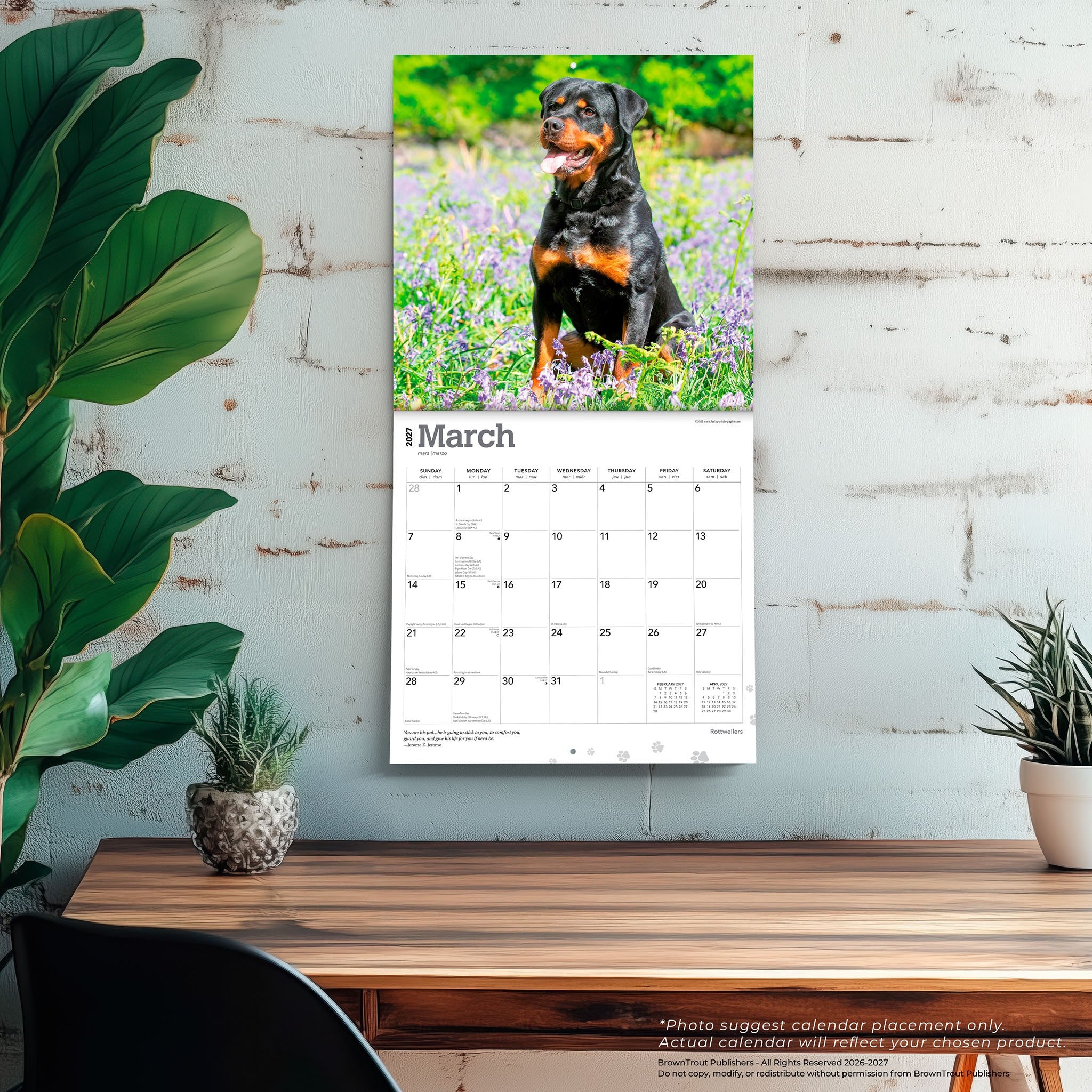 Rottweilers 2027 Wall Calendar