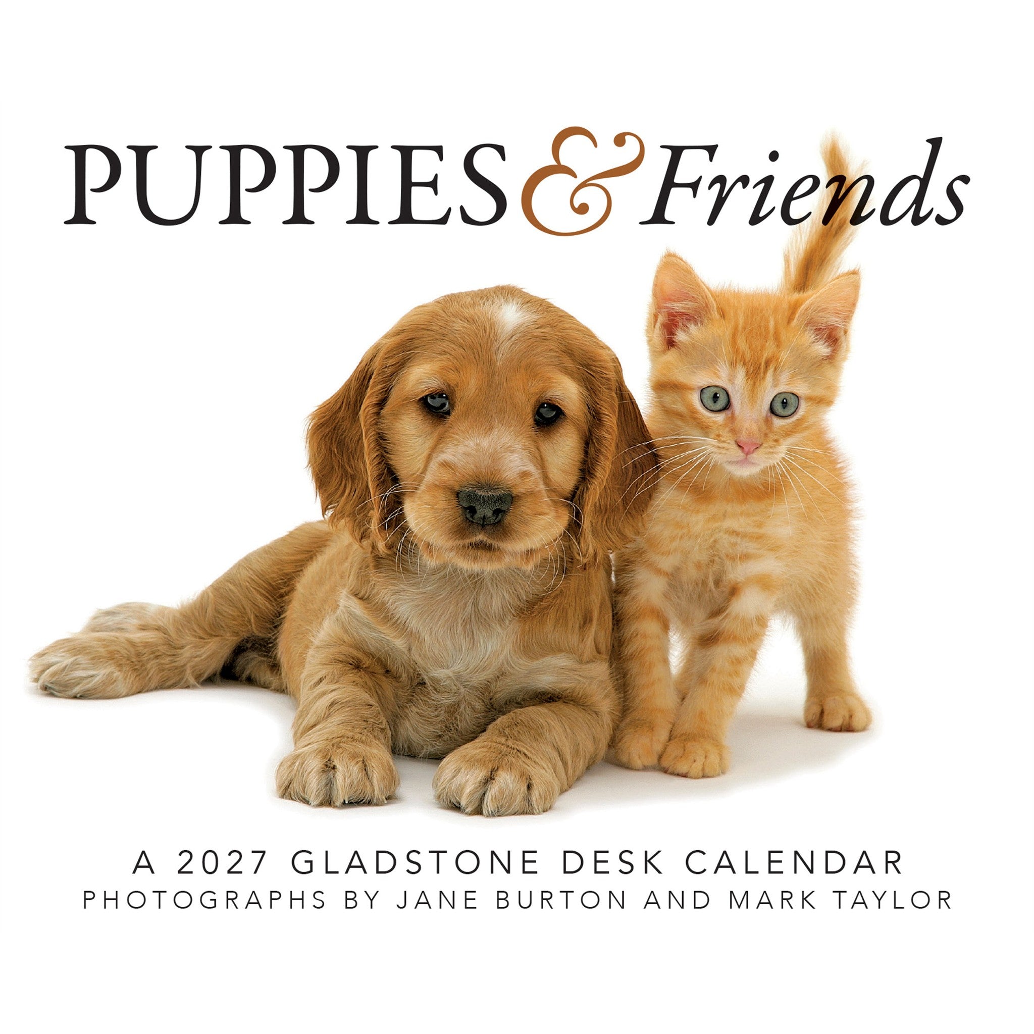 Calendrier de bureau Chiots et amis 2027
