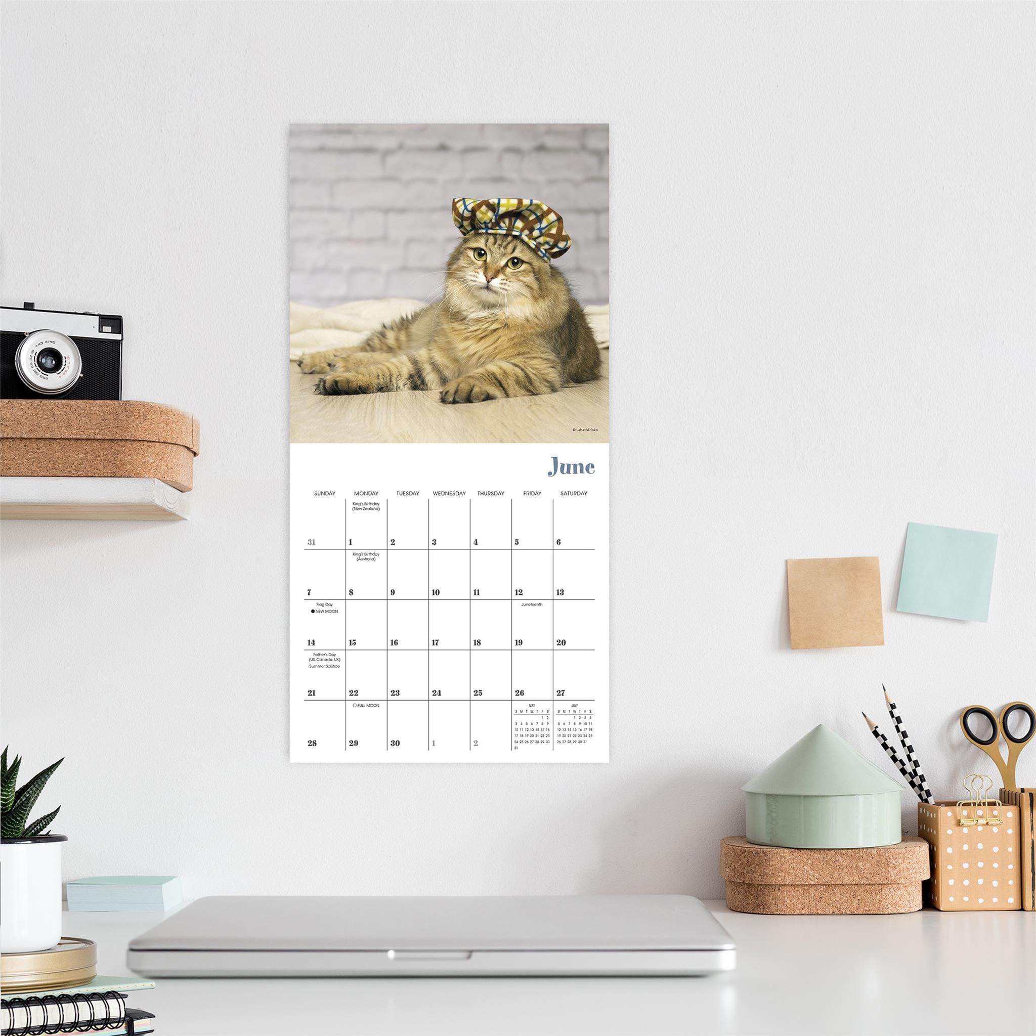 Mini-calendrier Chats Chapeautés 2026