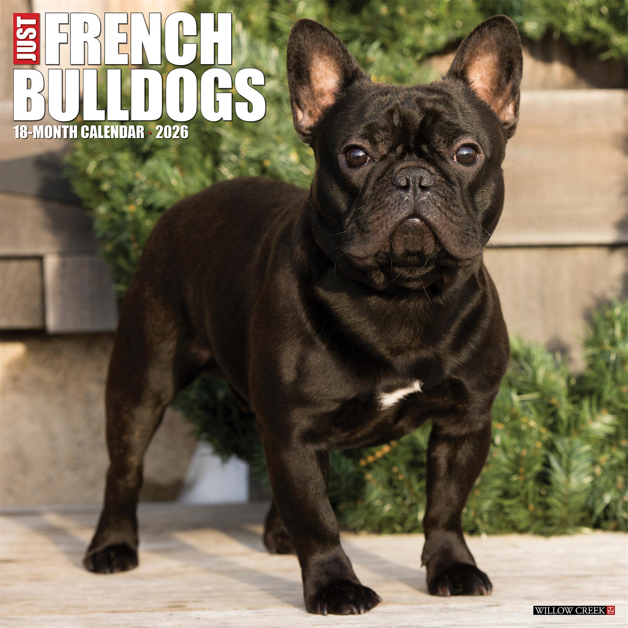 Calendrier mural 2026 « Just French Bulldogs »