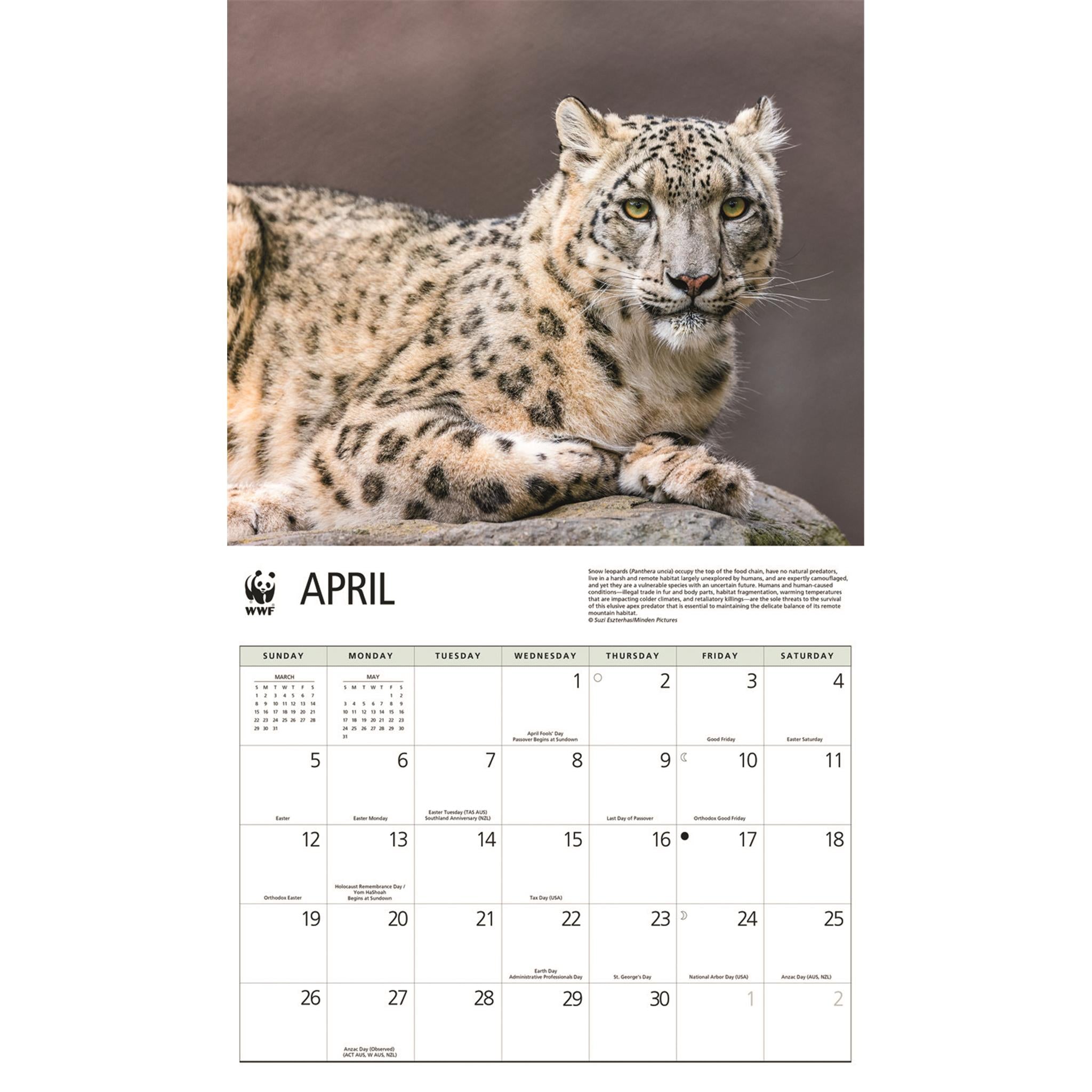 World Wildlife Fund Wild Cats 2026 Wall Calendar