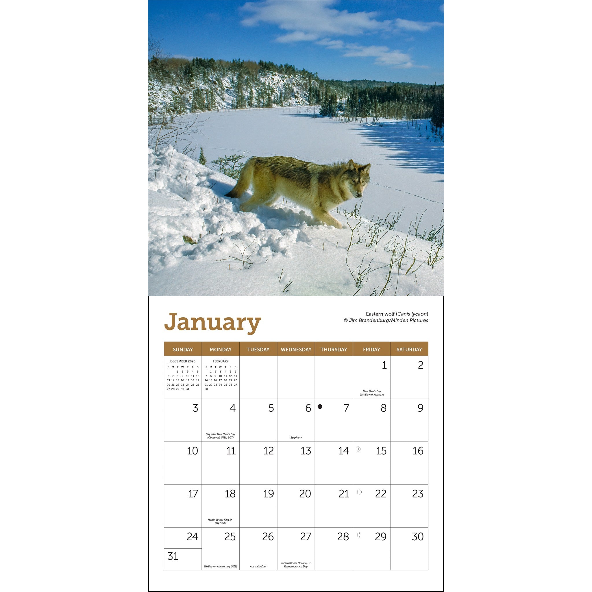 Mini Calendrier Loups 2027