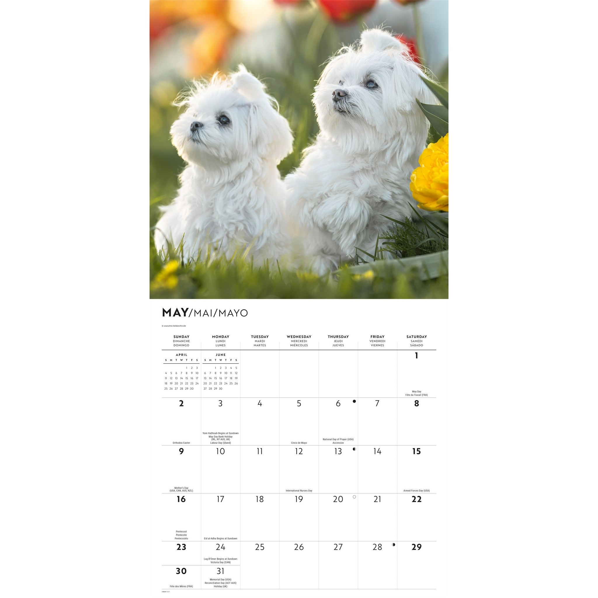 Calendrier mural Maltais 2027