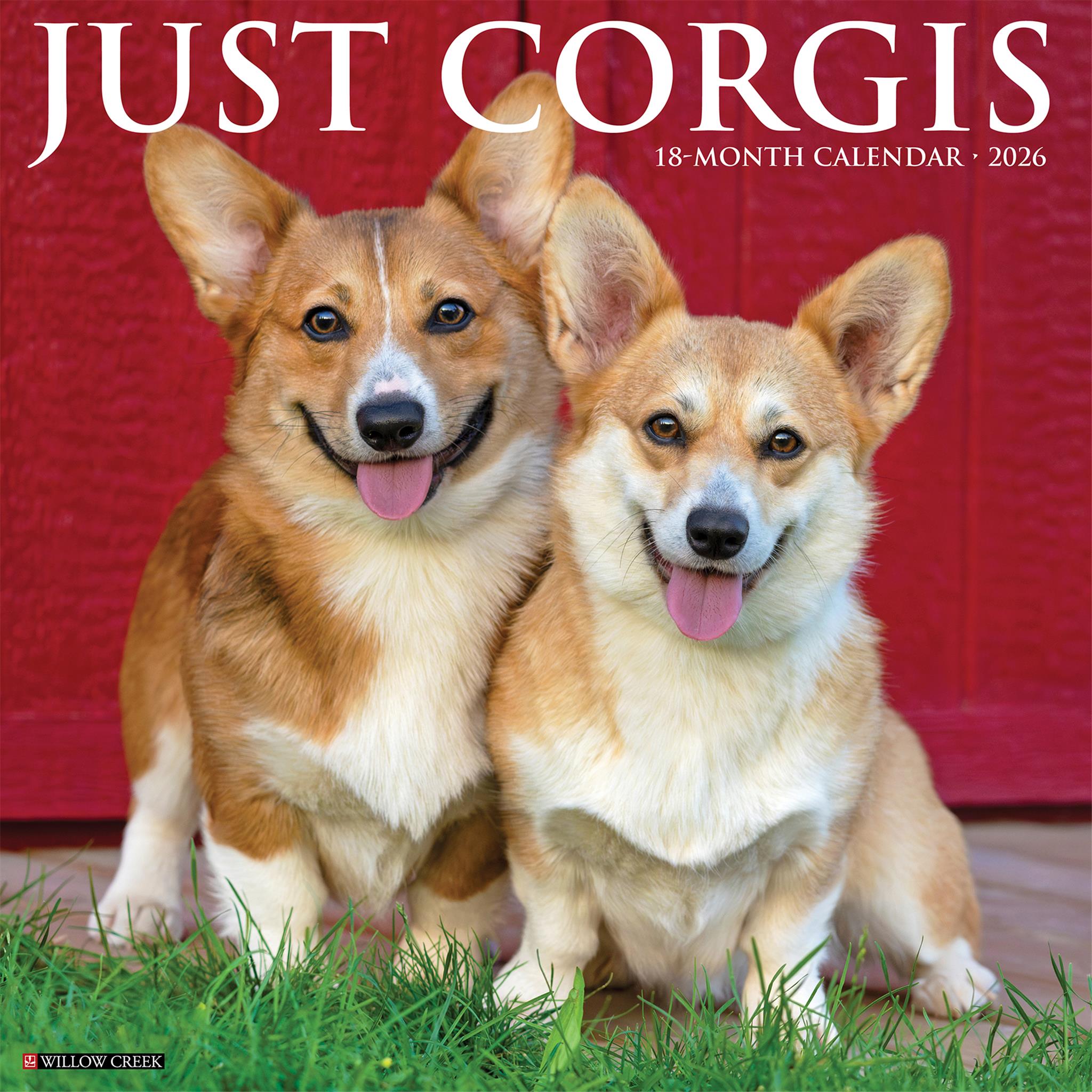 Calendrier mural Just Corgis 2026
