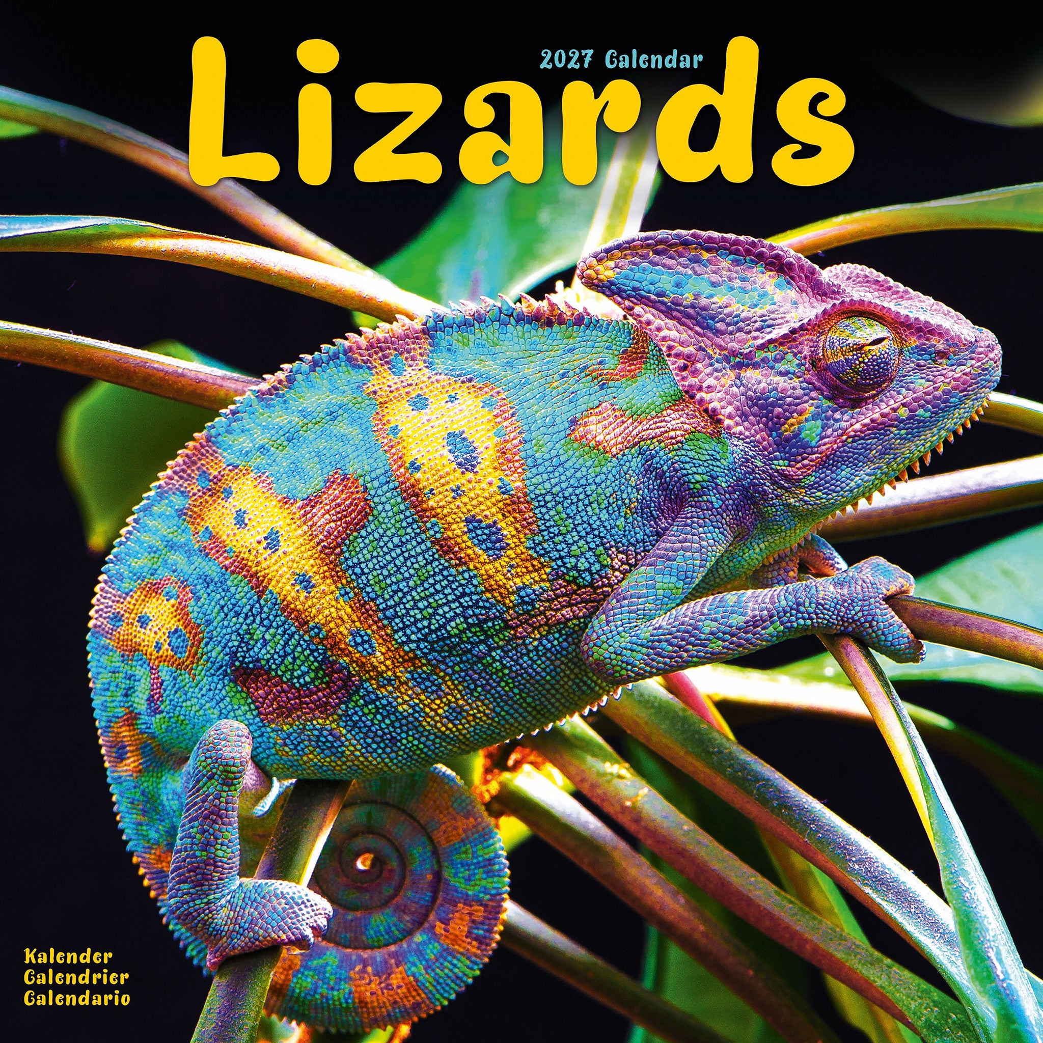 Calendrier mural Lézards 2027