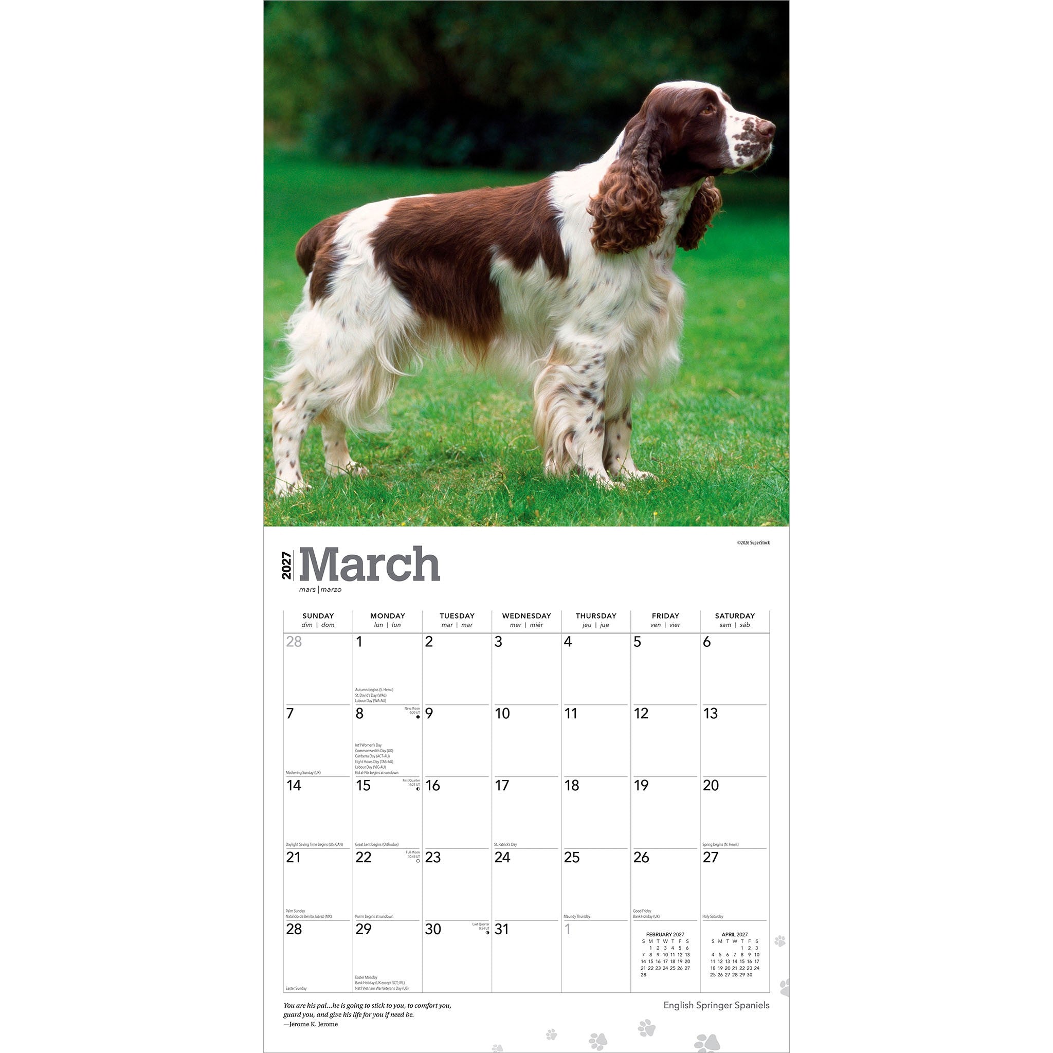 English Springer Spaniels 2027 Wall Calendar