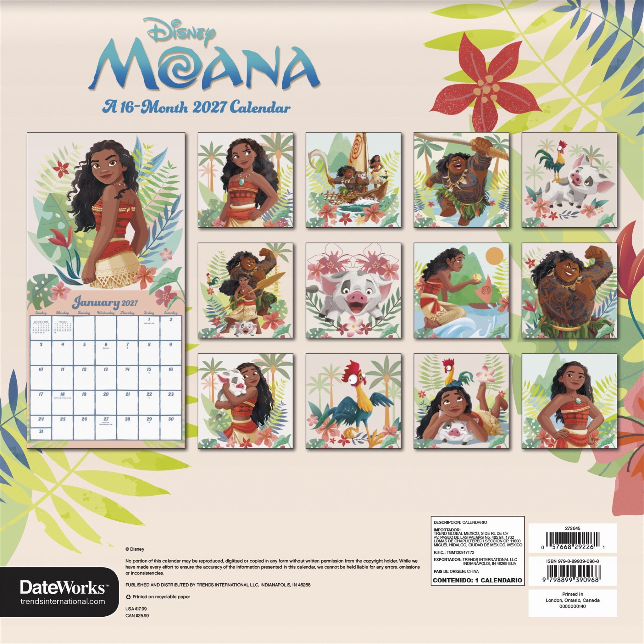 Moana 2027 Wall Calendar
