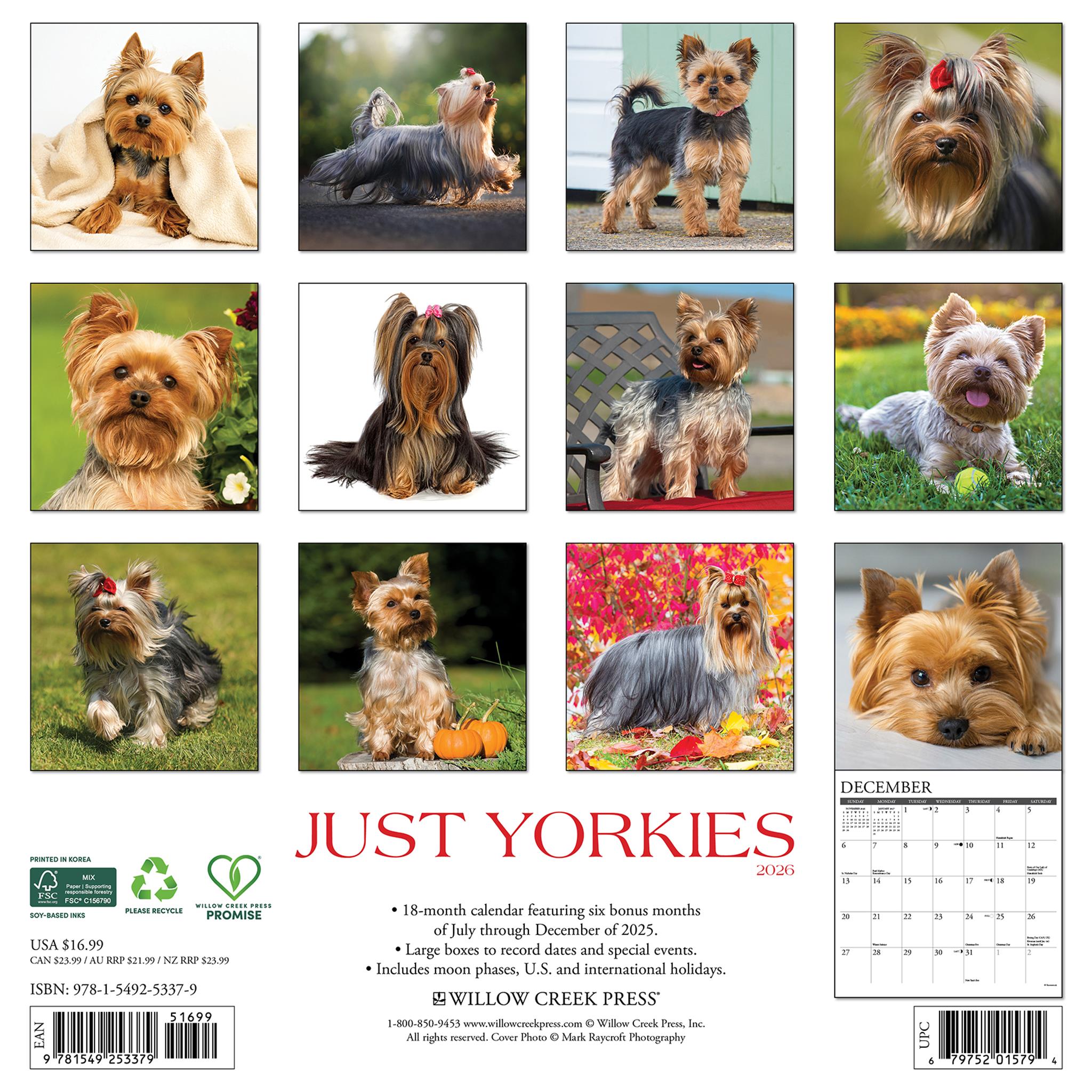Calendrier mural Just Yorkies 2026