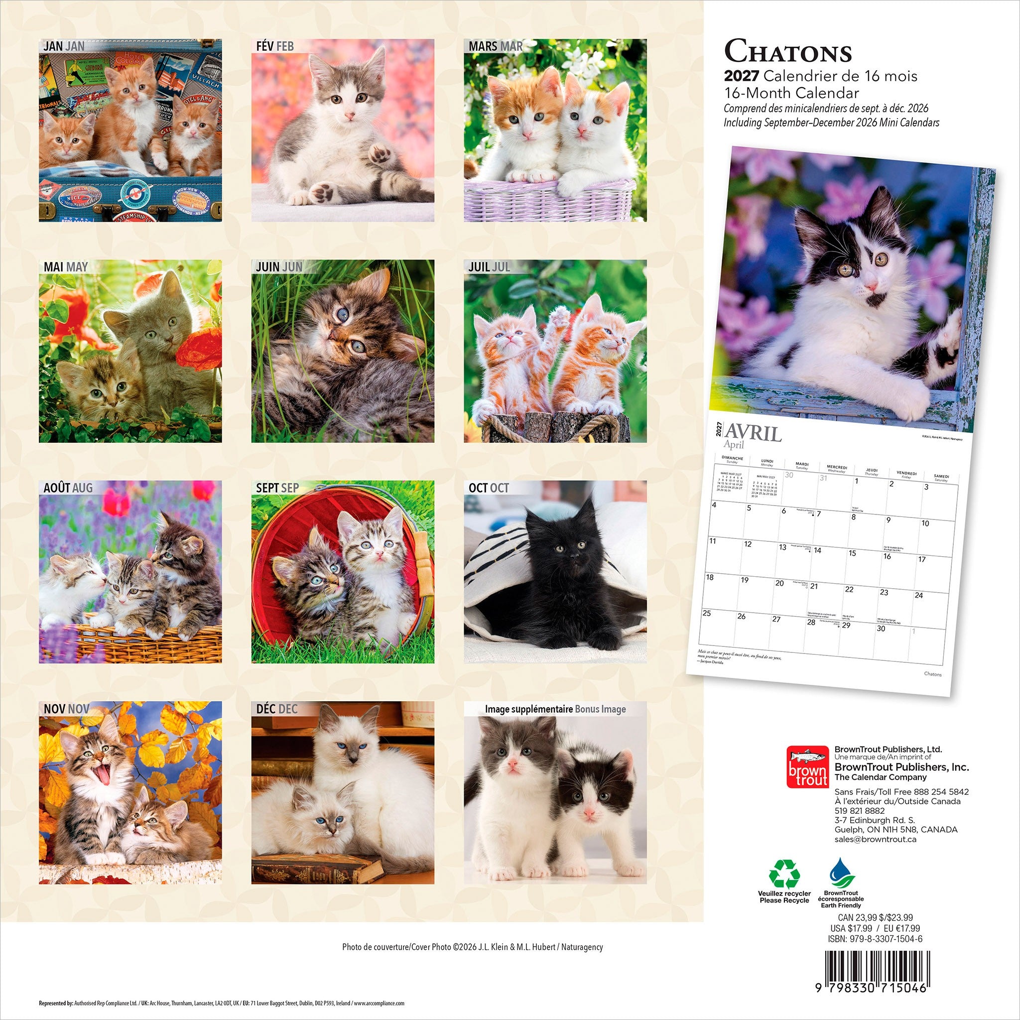 Chatons 2027 Wall Calendar (French)