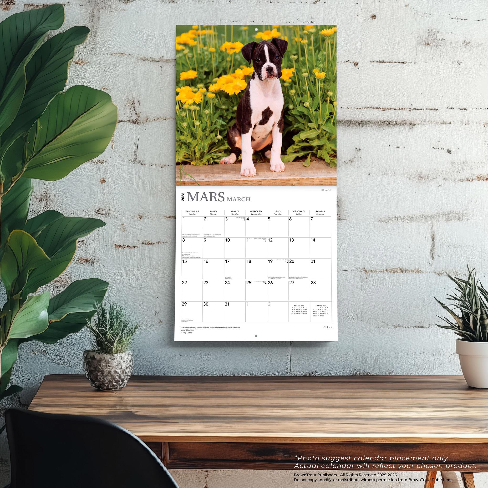 Chiots 2026 Calendrier de 12 Mois (Français)