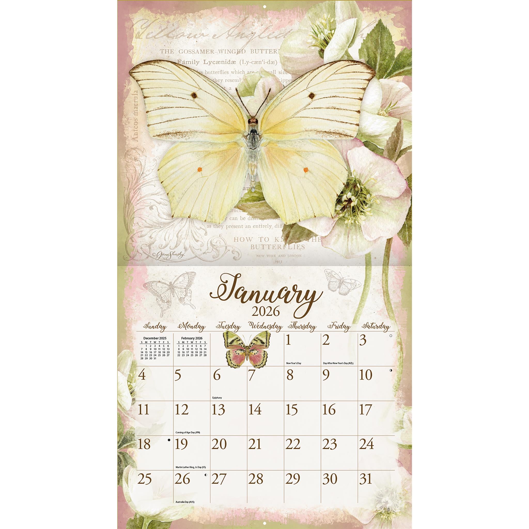 Butterflies 2026 Deluxe Wall Calendar - Online Only