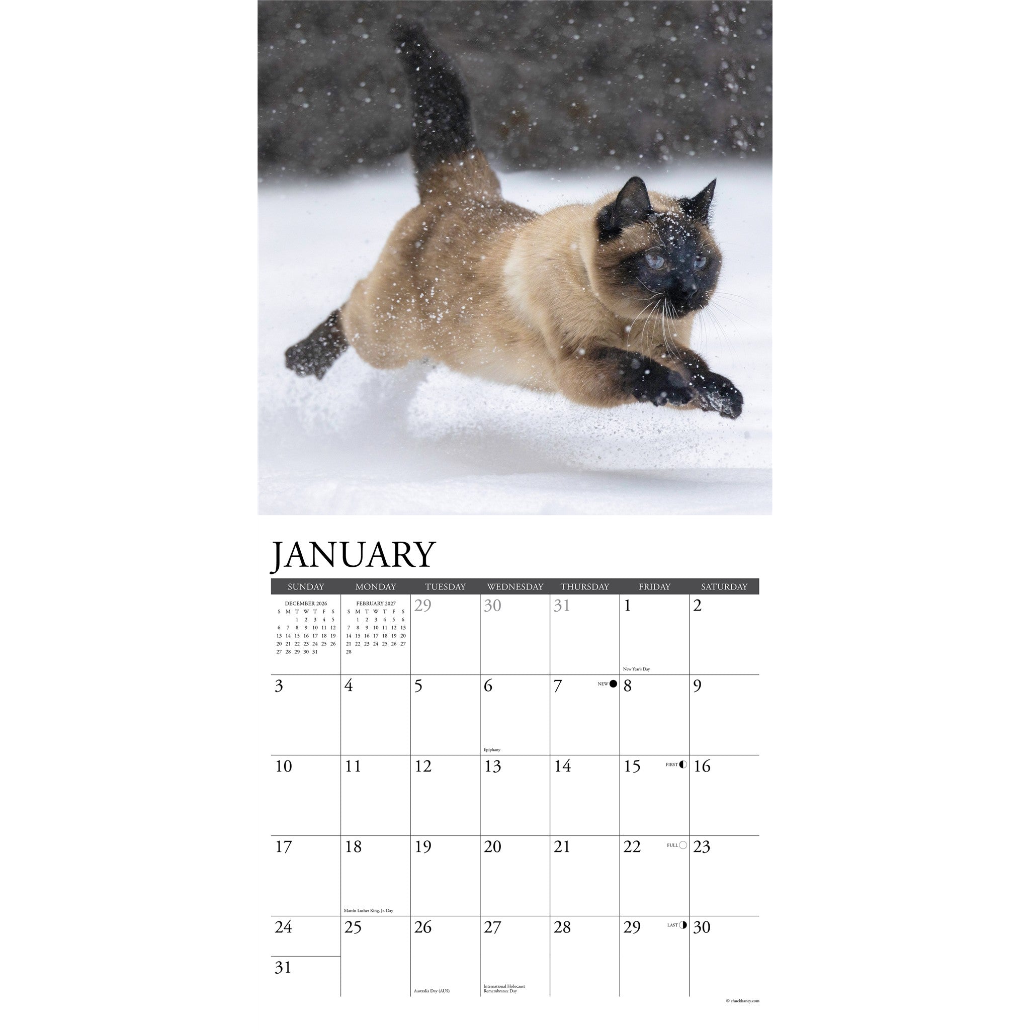 Siamese Cats 2027 Wall Calendar