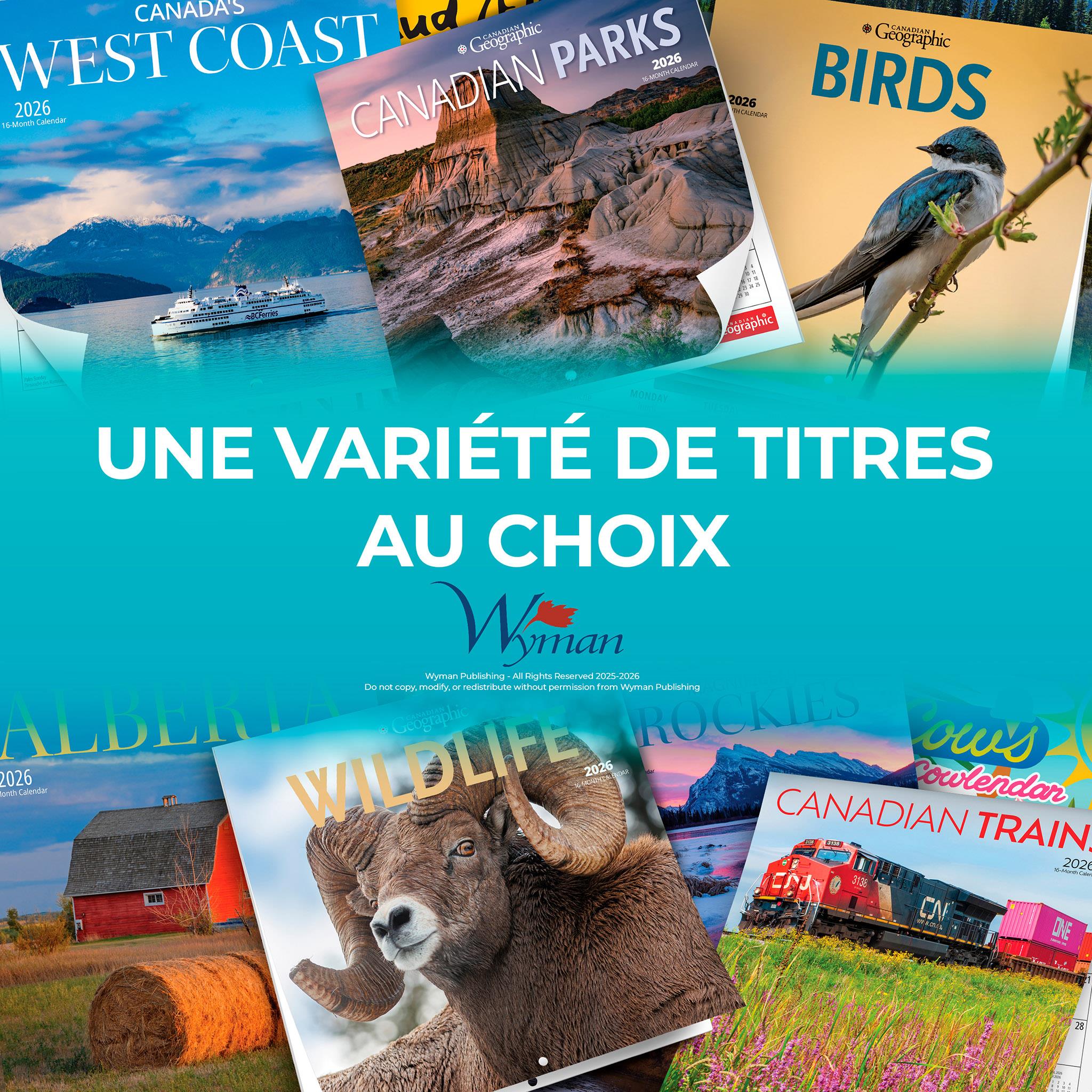 Canadian Geographic Oiseaux 2026 Mini Calendar (French)
