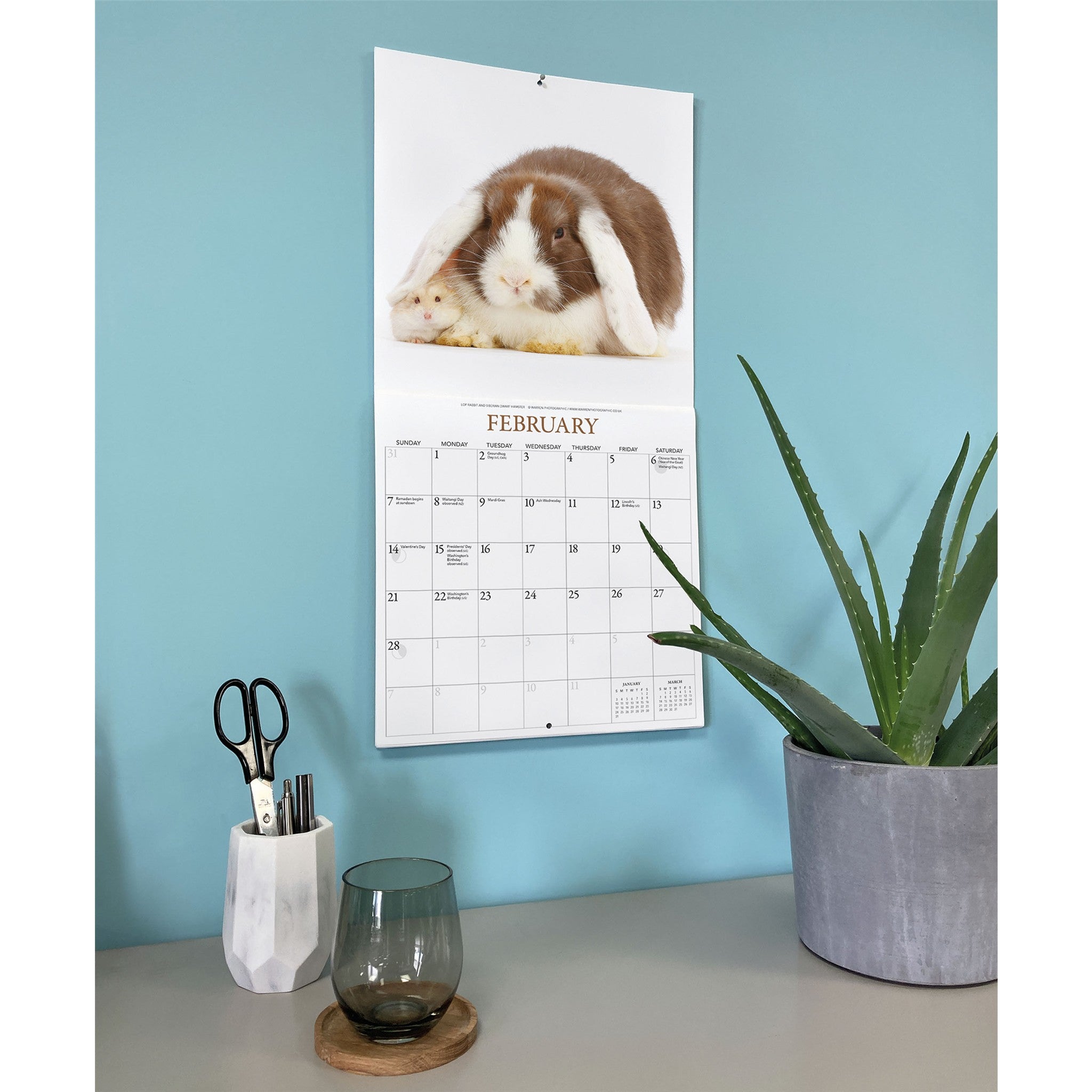 Calendrier mural 2027 Lapins et amis
