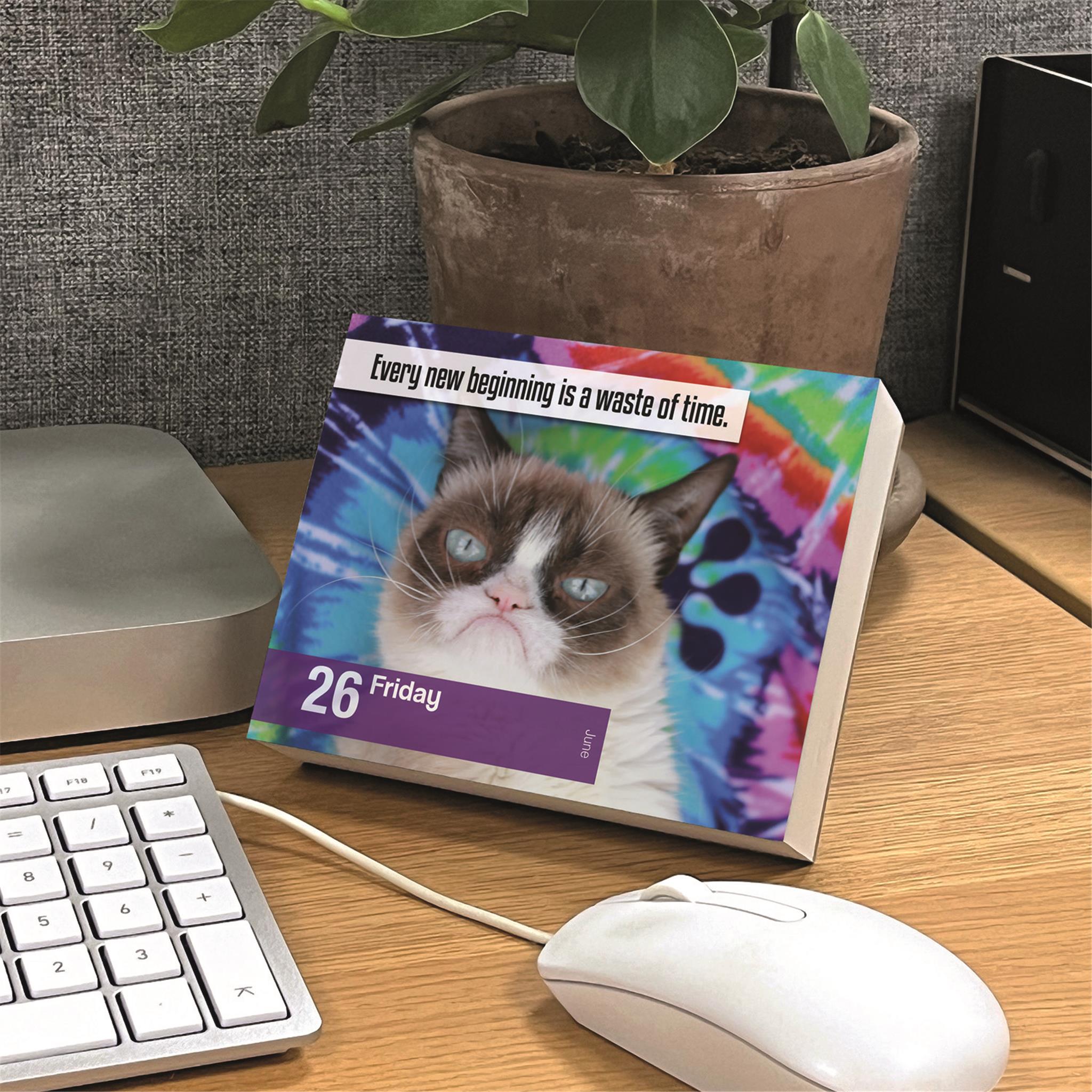 Calendrier Grumpy Cat 2026