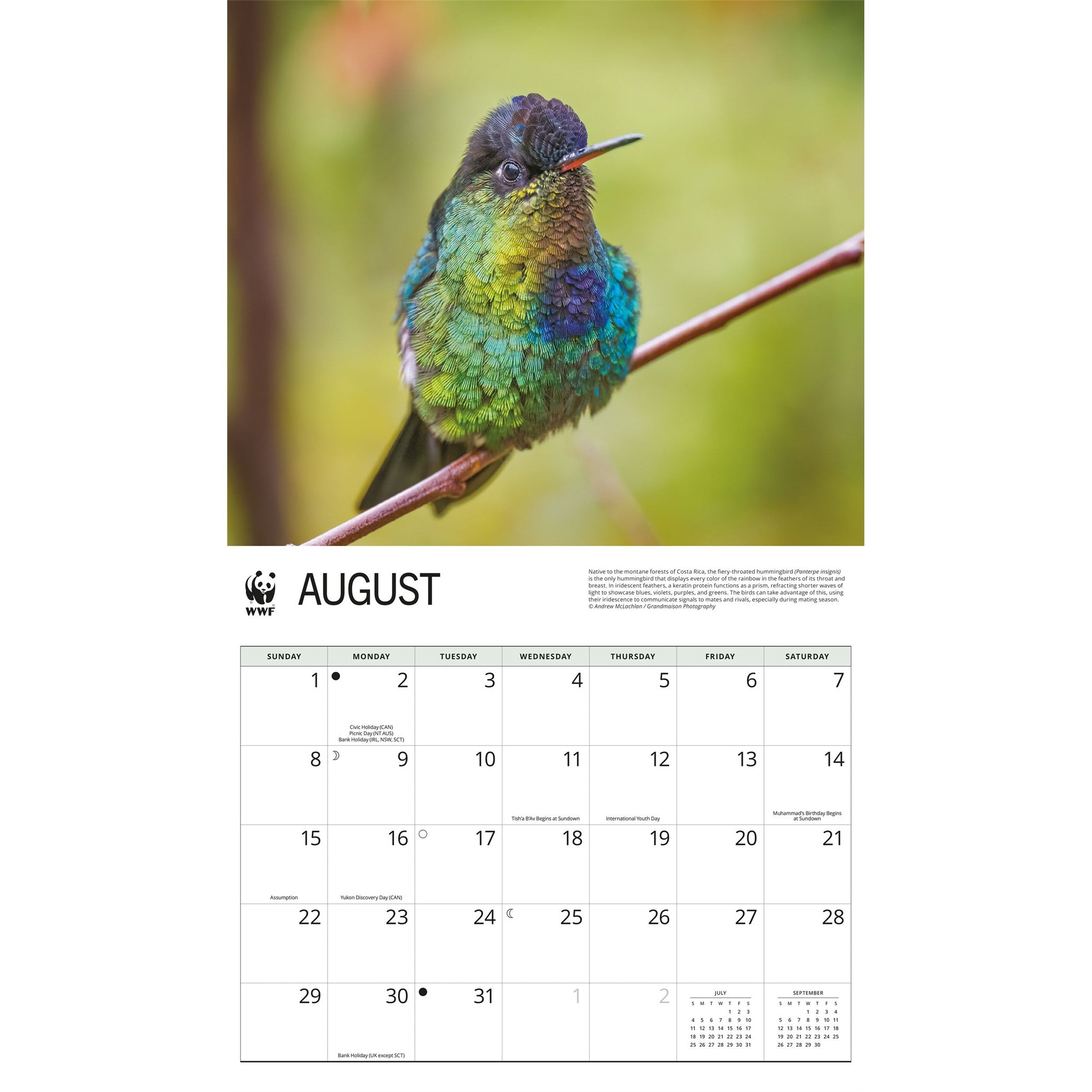 Calendrier mural 2027 Colibris du Fonds mondial pour la nature