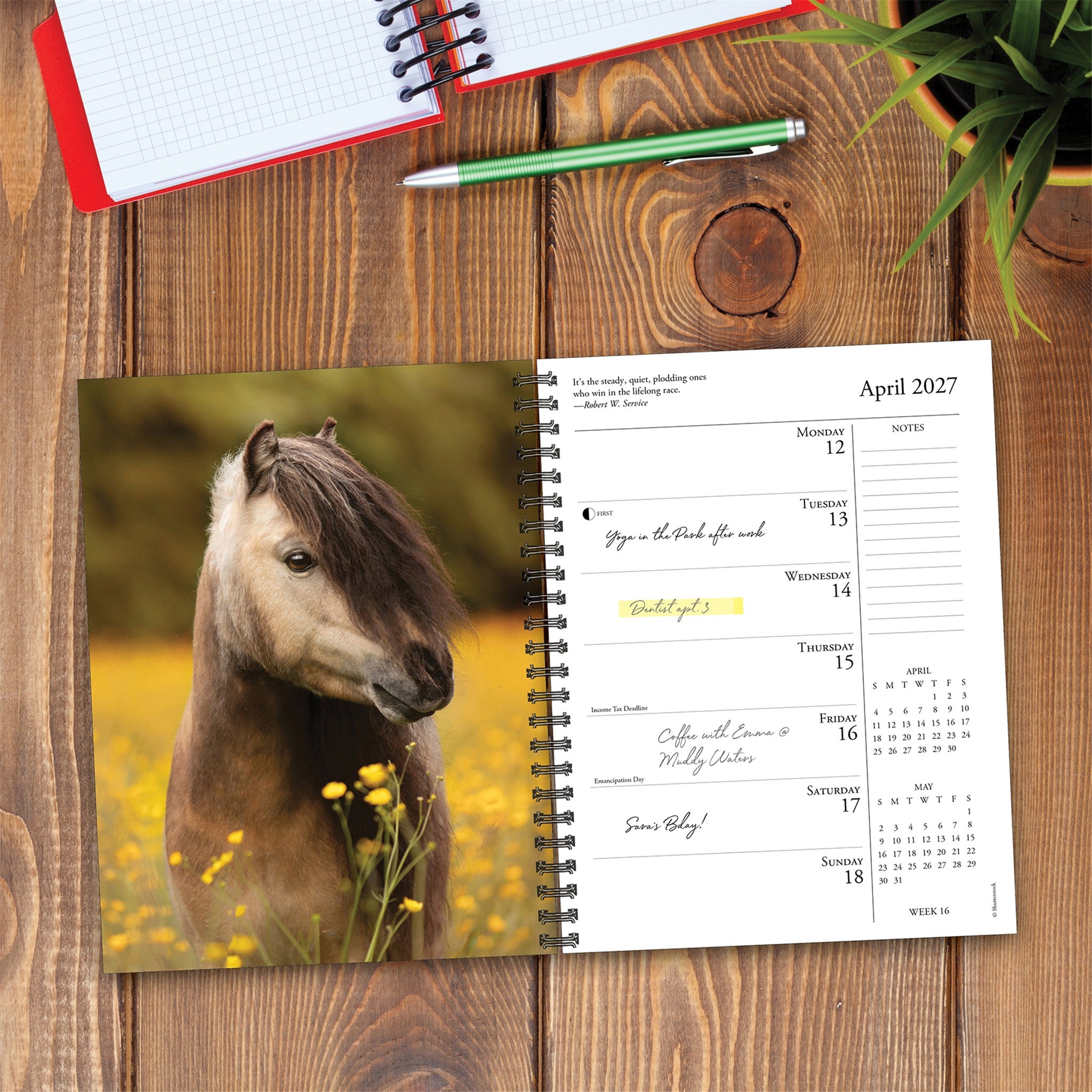 What Horses Teach Us 2027 Engagement Calendar