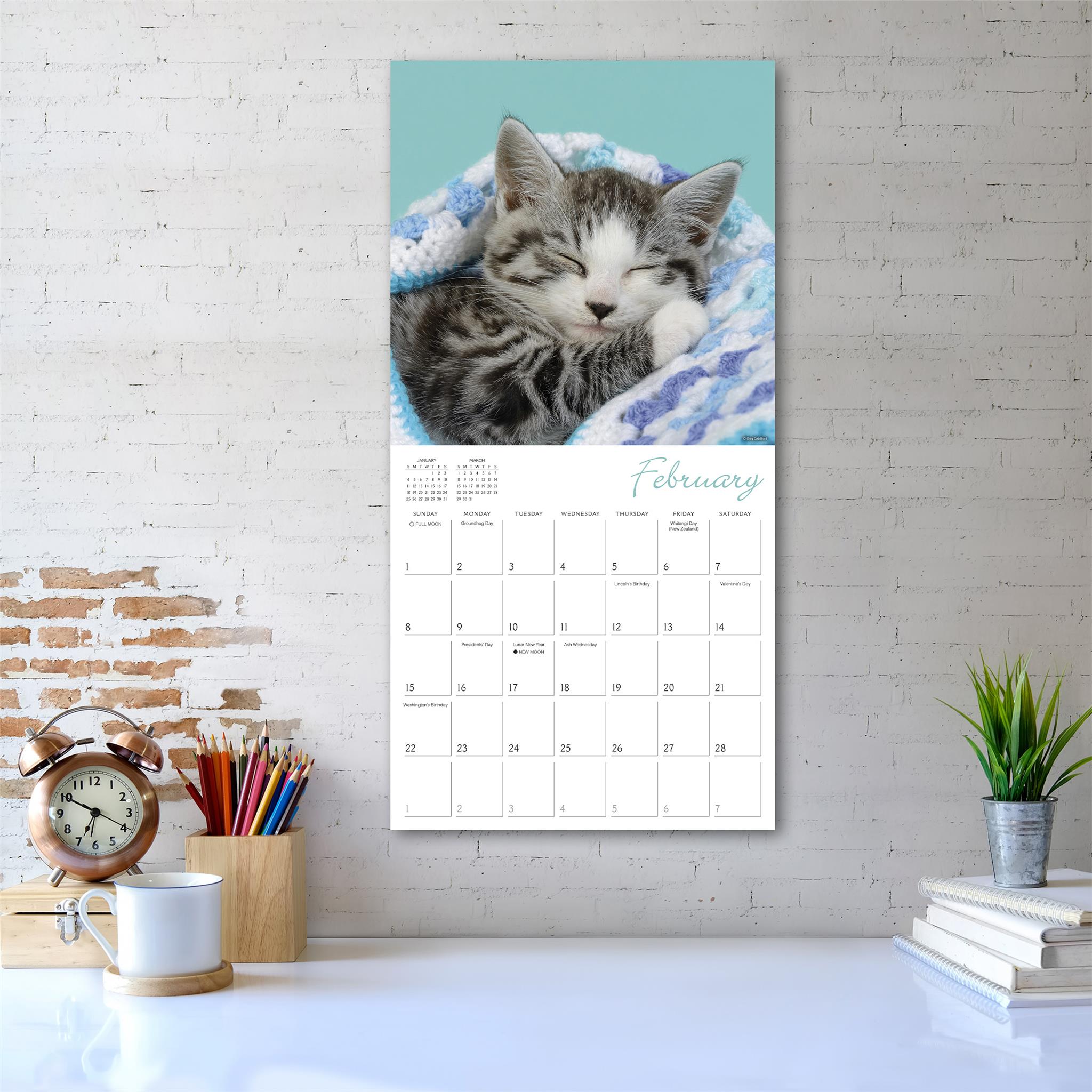Cat Naps 2026 Wall Calendar - Online Only