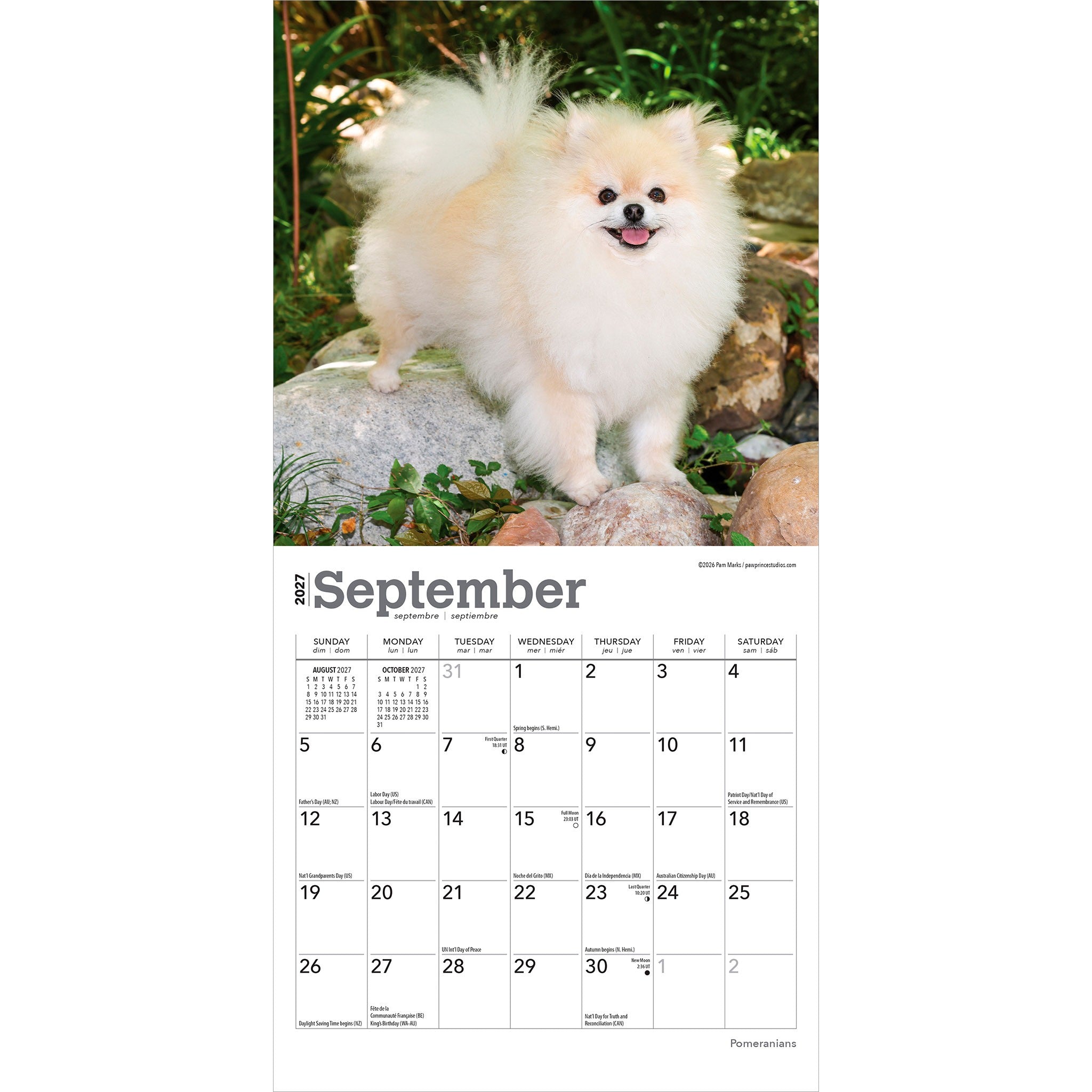 Pomeranians 2027 Mini Calendar