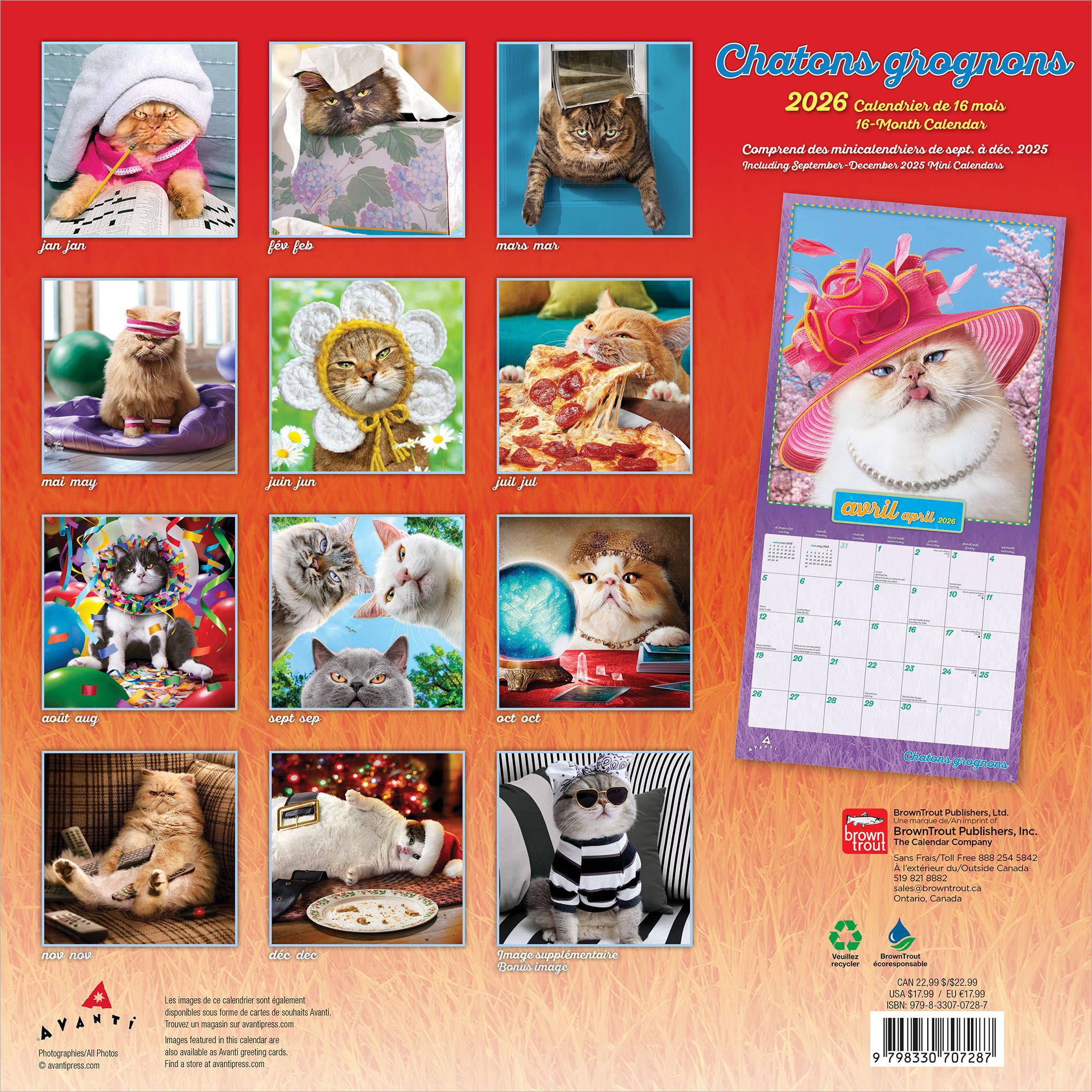 Calendrier mural Chatons Grognons 2026 (français)