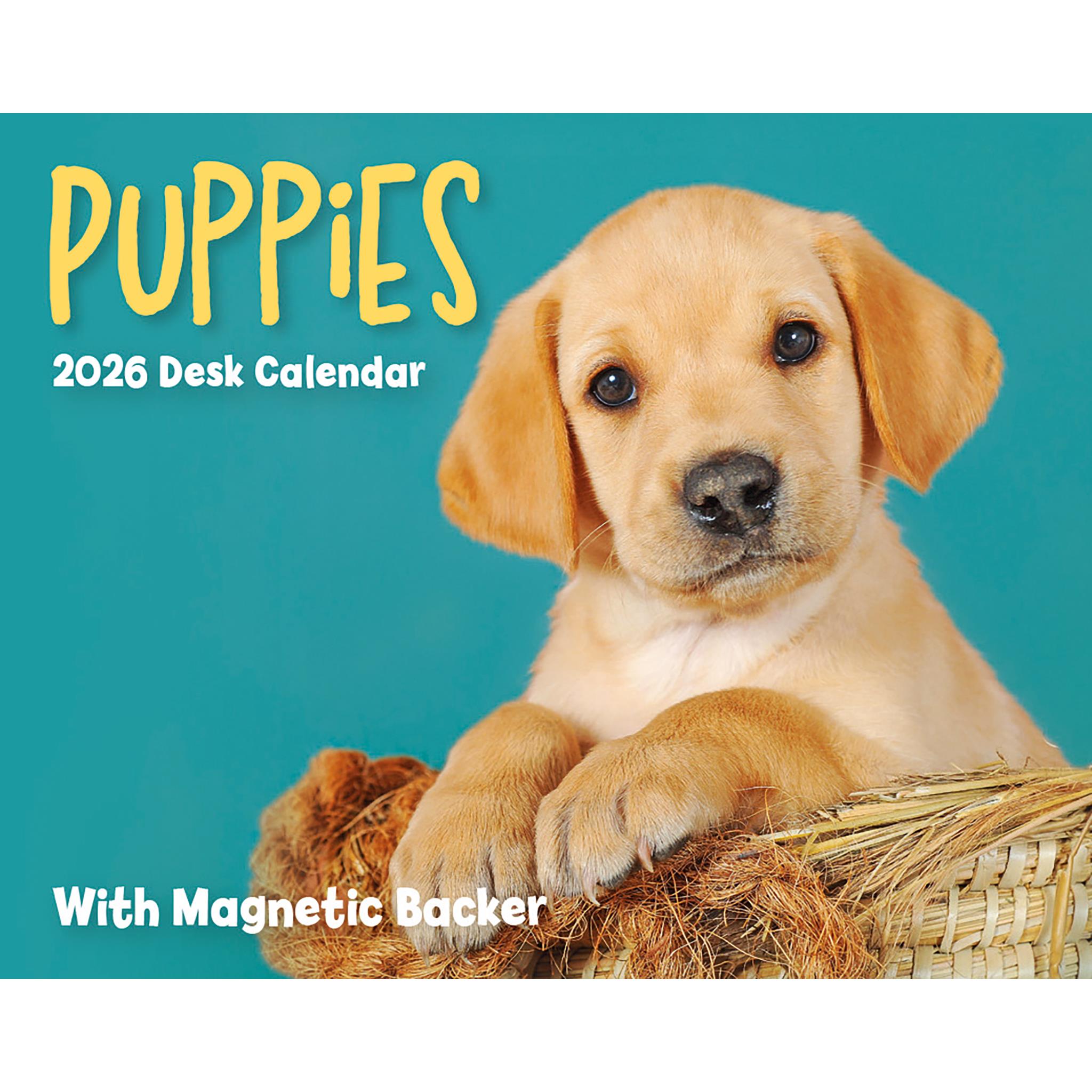 Puppies 2026 Small Box Calendar