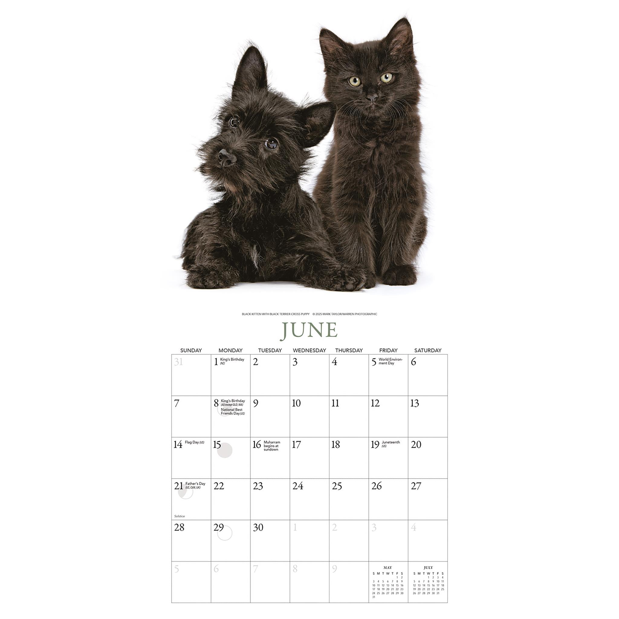 Kittens And Friends Mini 2026 Calendar