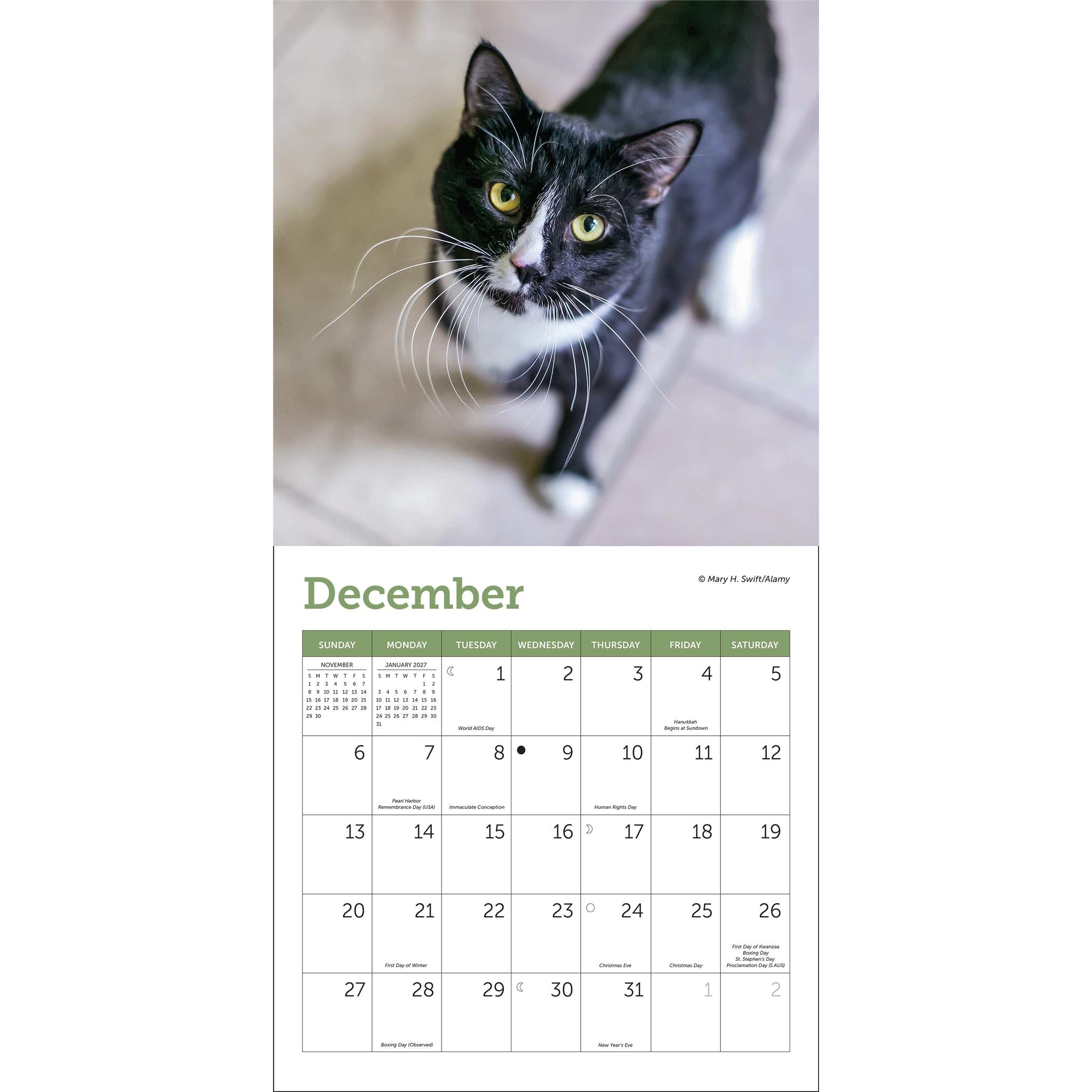 Cats 2026 Mini Calendar
