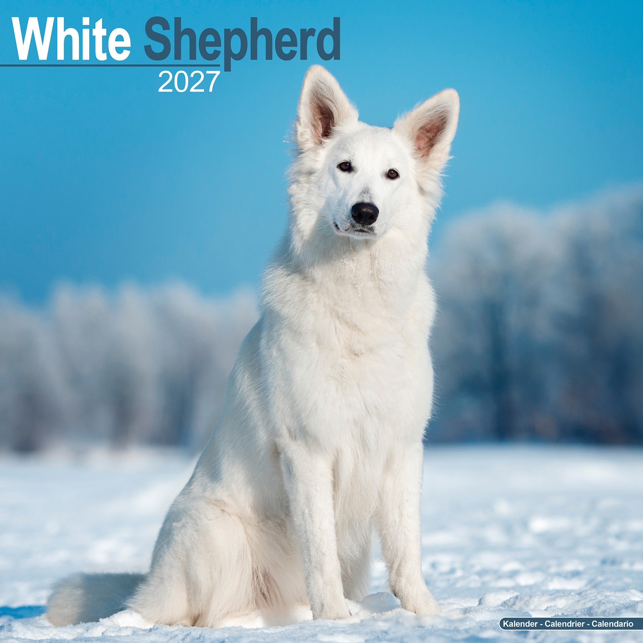 Calendrier mural Berger Blanc 2027 – En ligne seulement