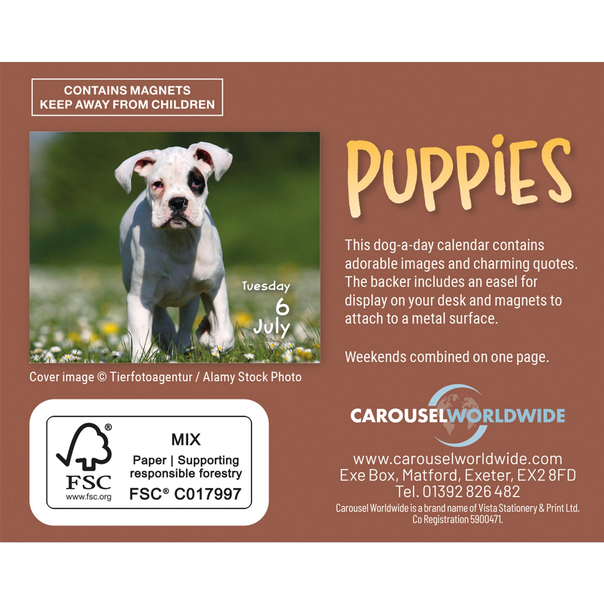 Puppies 2027 Small Box Calendar