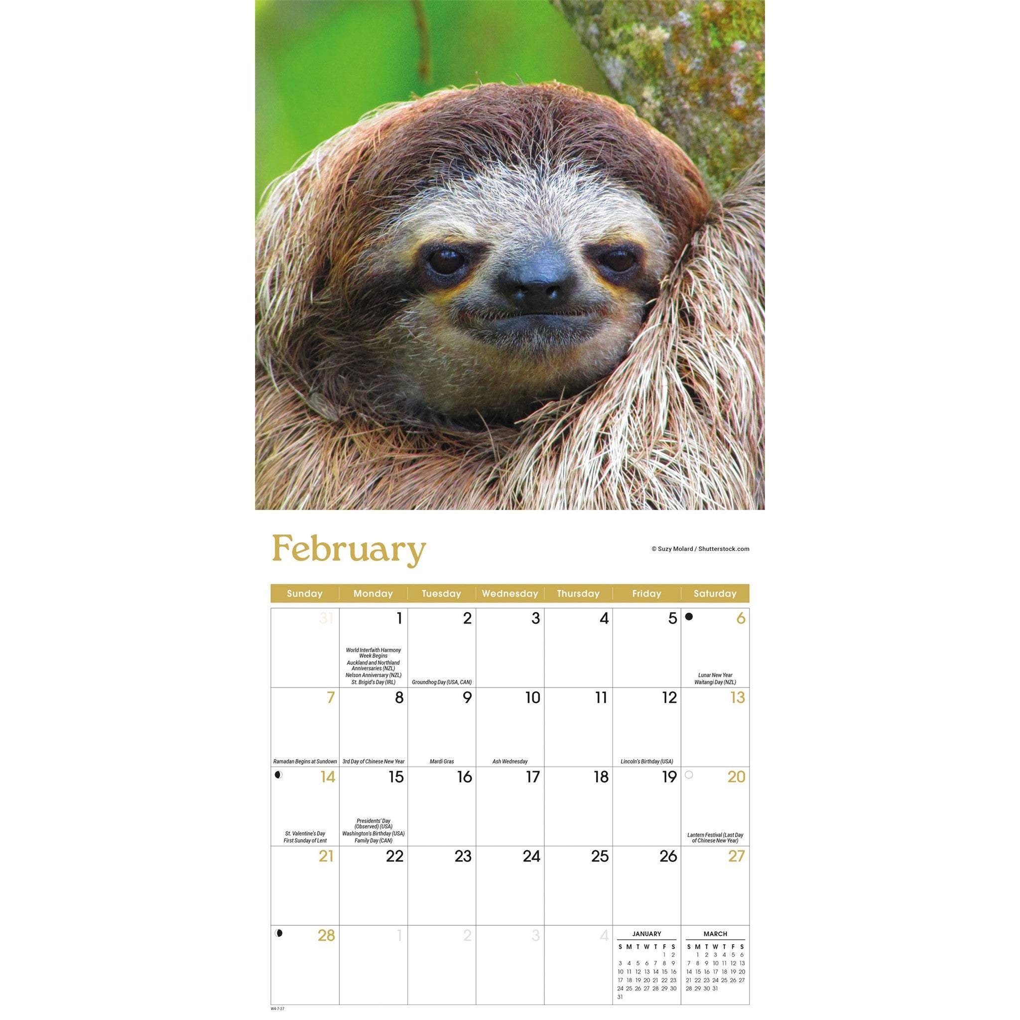 Mini calendrier Paresseux 2027