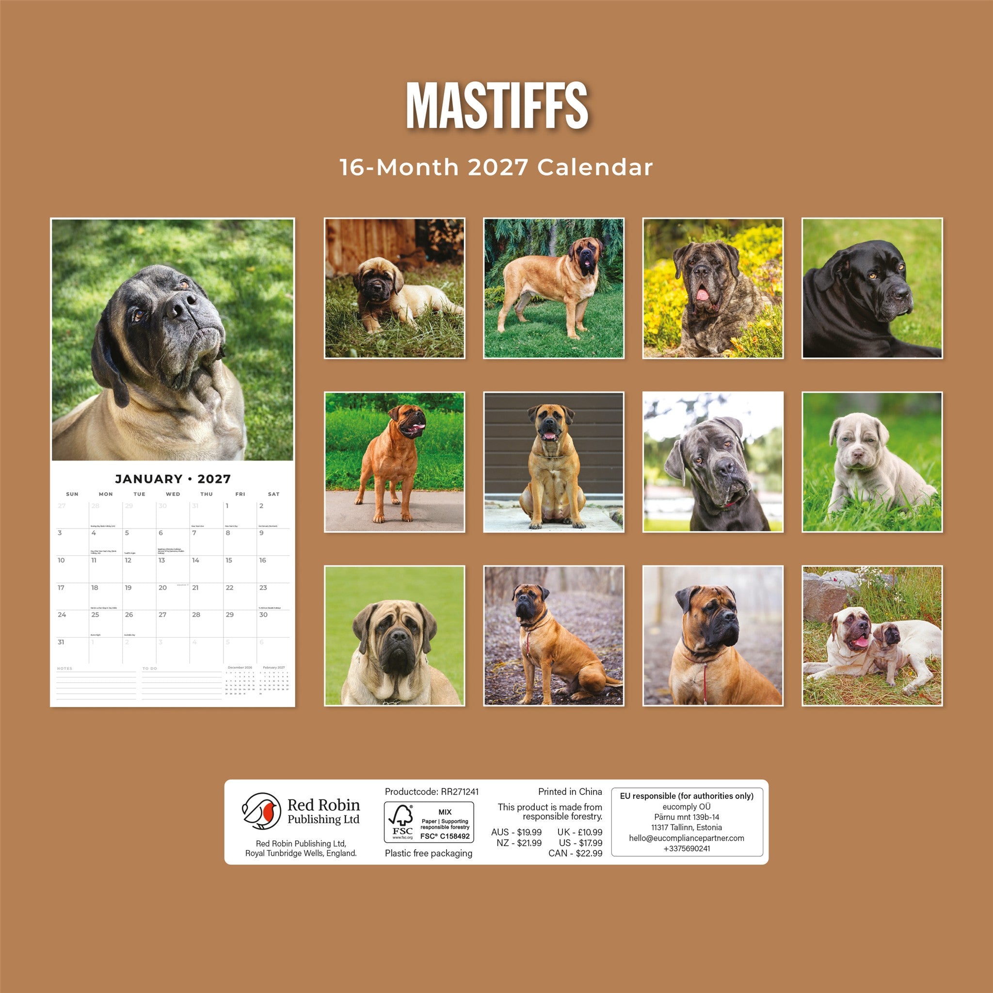 Calendrier mural Mastiffs 2027