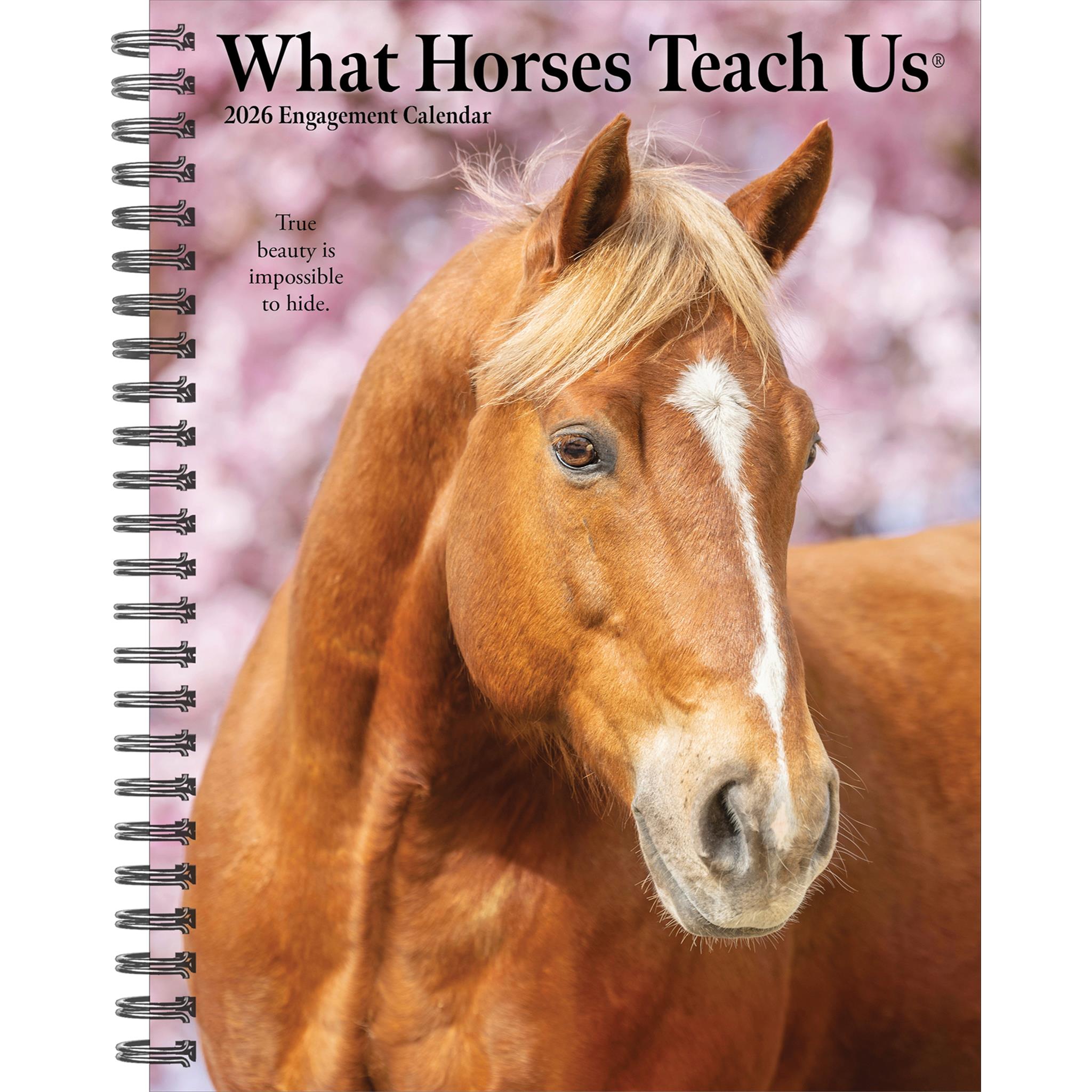 Calendrier des fiançailles 2026 de What Horses Teach Us