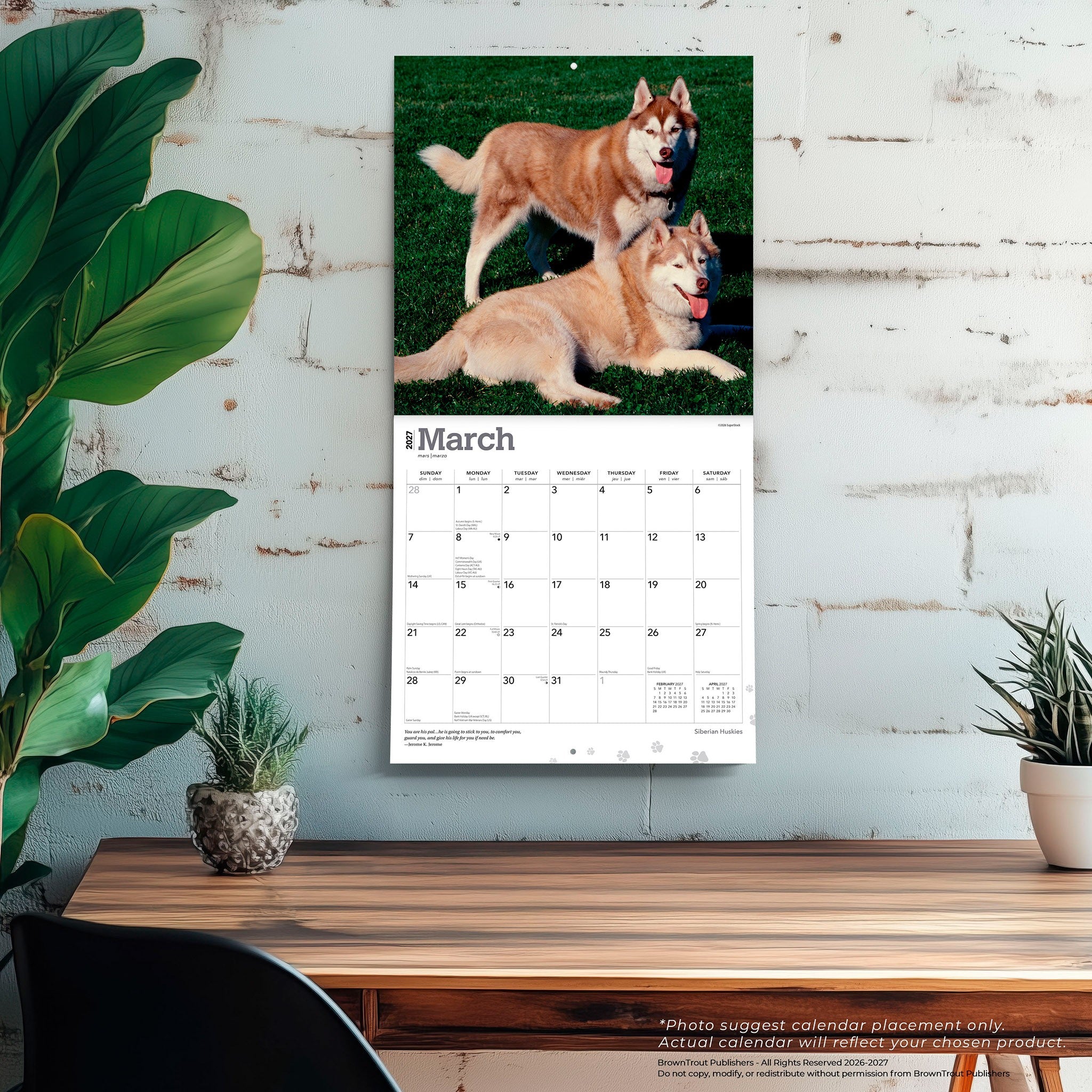 Siberian Huskies 2027 Wall Calendar