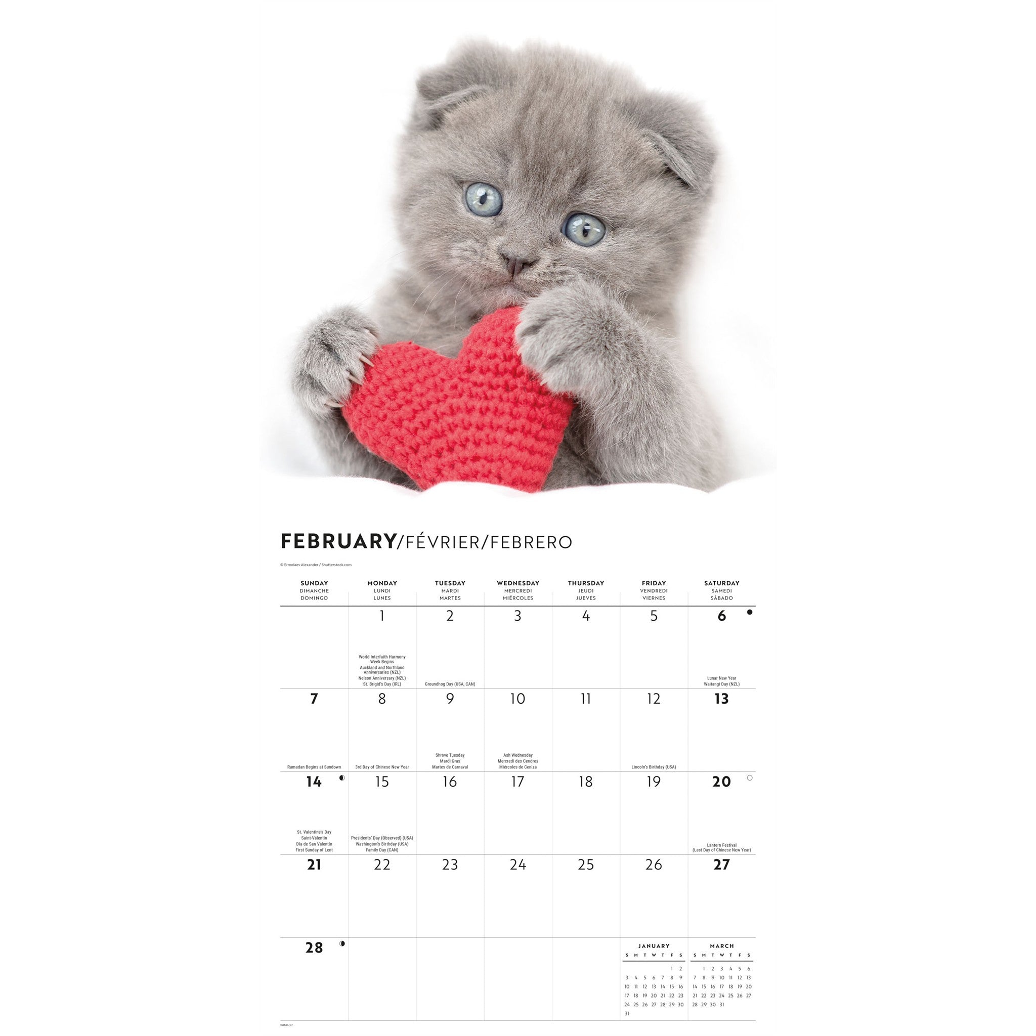 Cats 2027 Wall Calendar