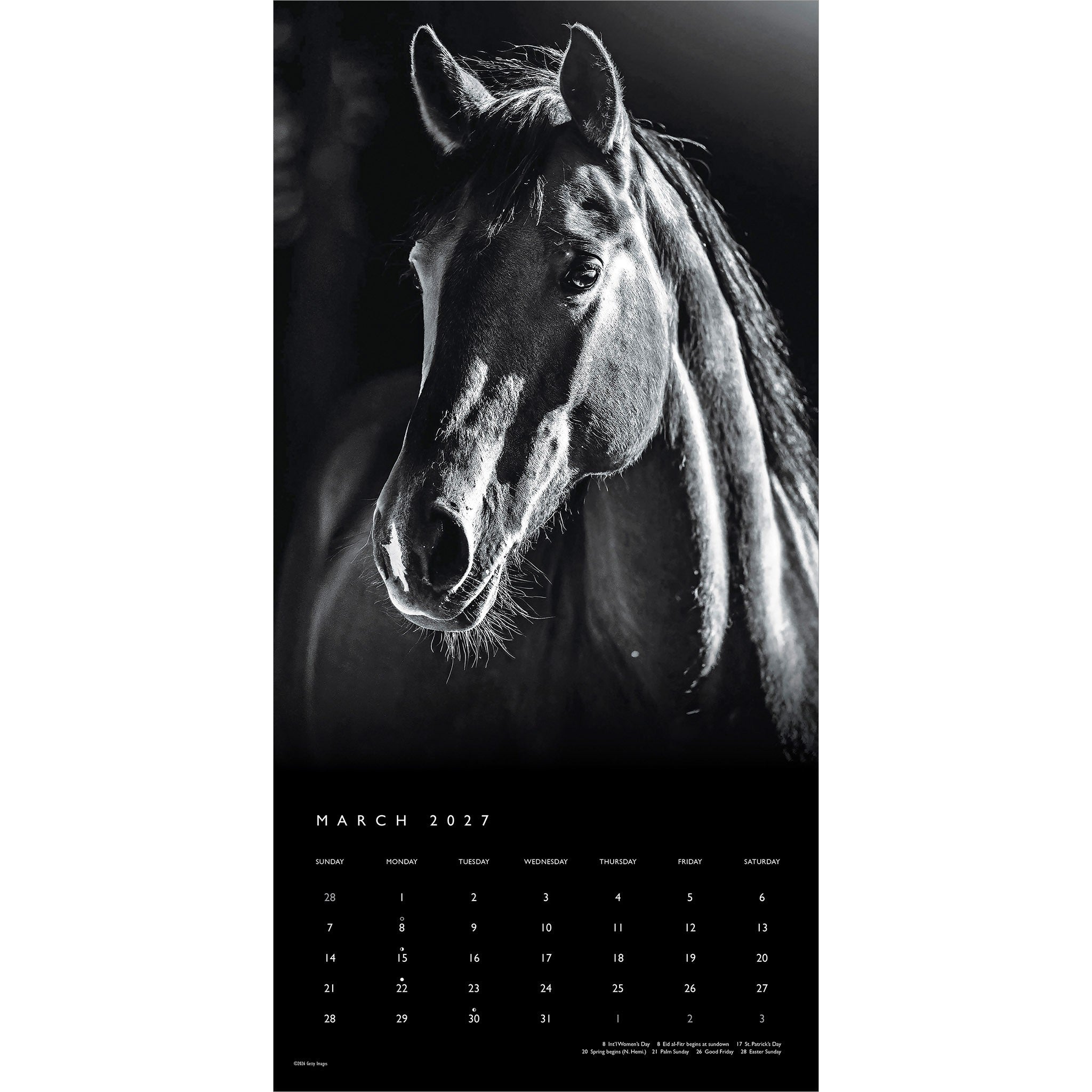 The Noble Horse 2027 Wall Calendar