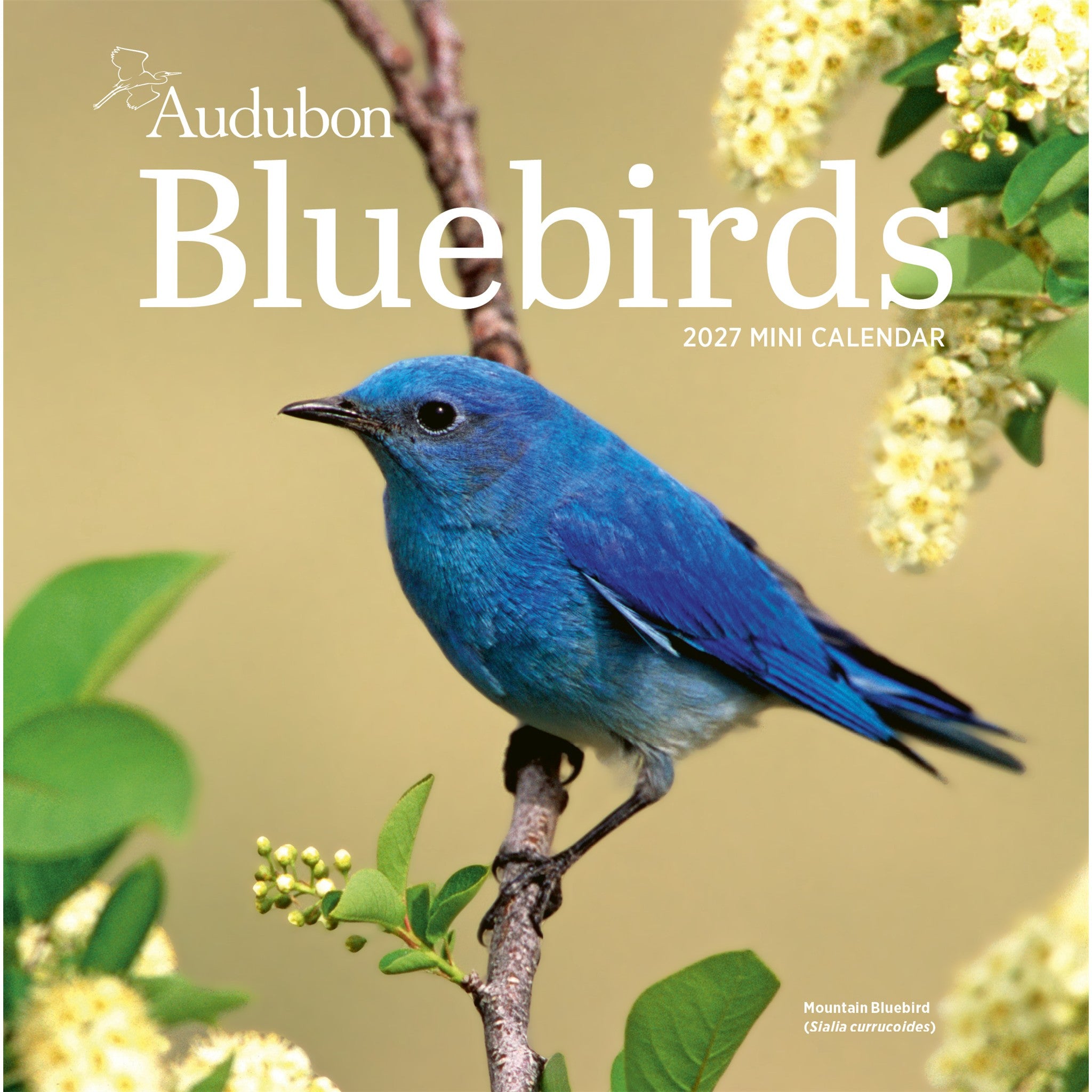 Mini-calendrier Audubon Bluebirds 2027 - En ligne seulement