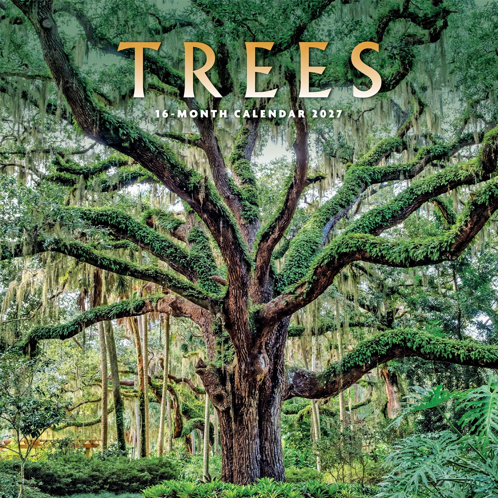 Calendrier mural Arbres 2027