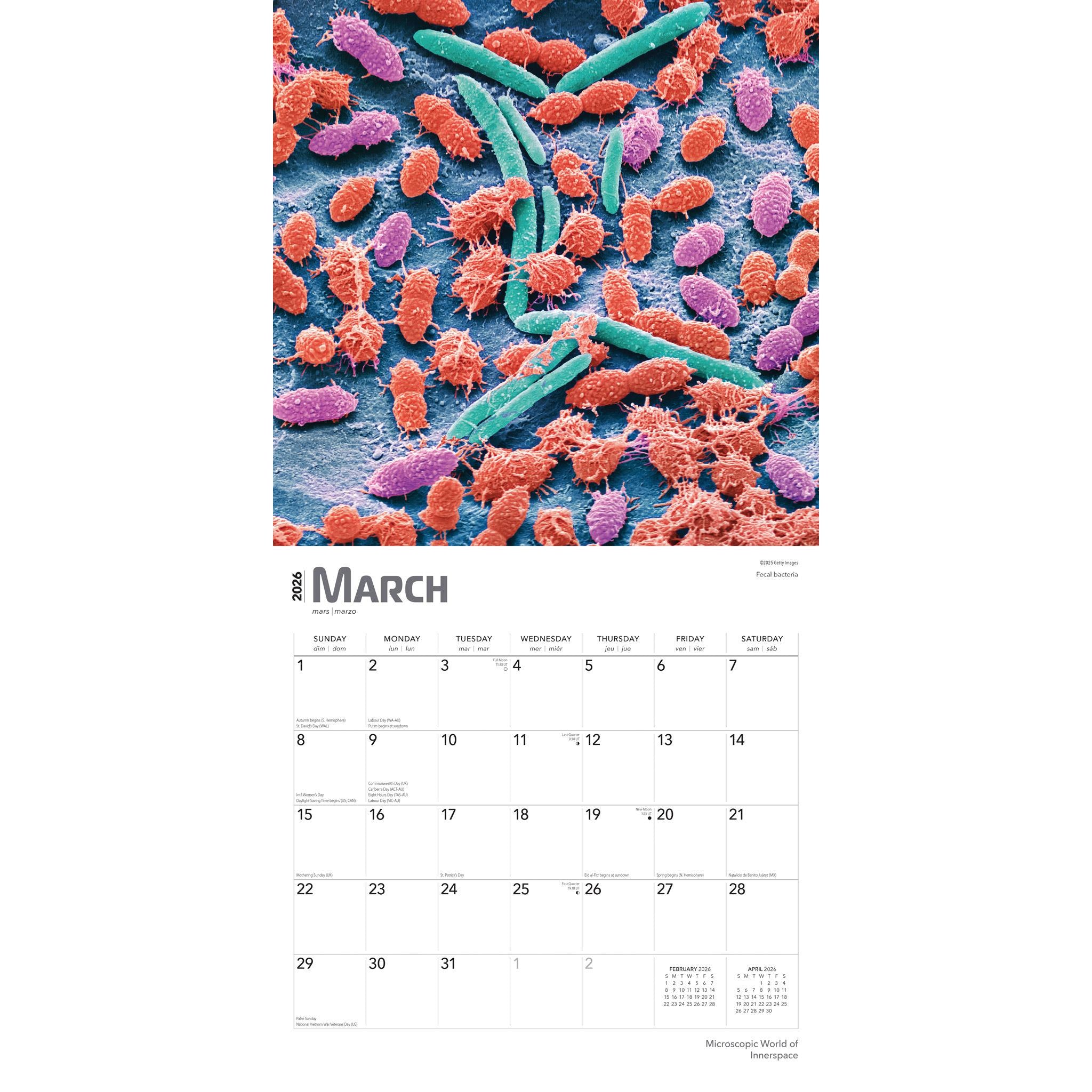 Calendrier mural Innerspace 2026 - Disponible uniquement en ligne
