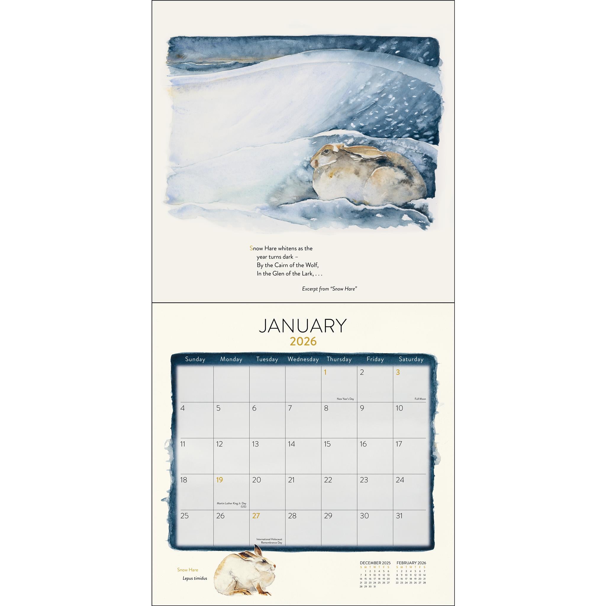 Lost Spells 2026 Wall Calendar- Online Only