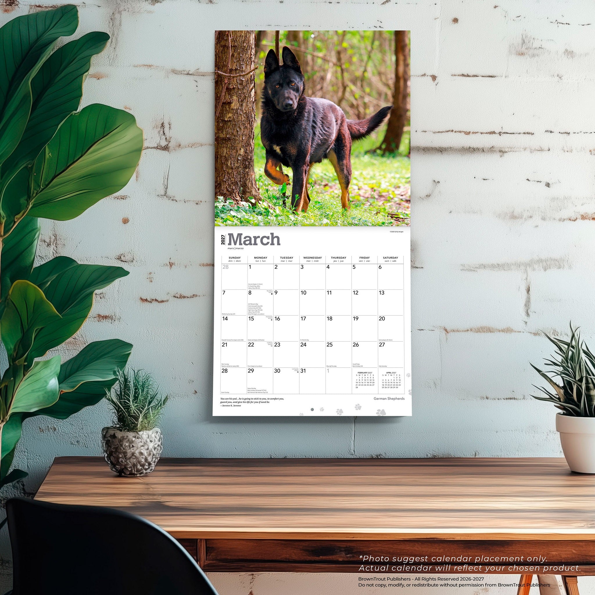 German Shepherds 2027 Wall Calendar - Online Only