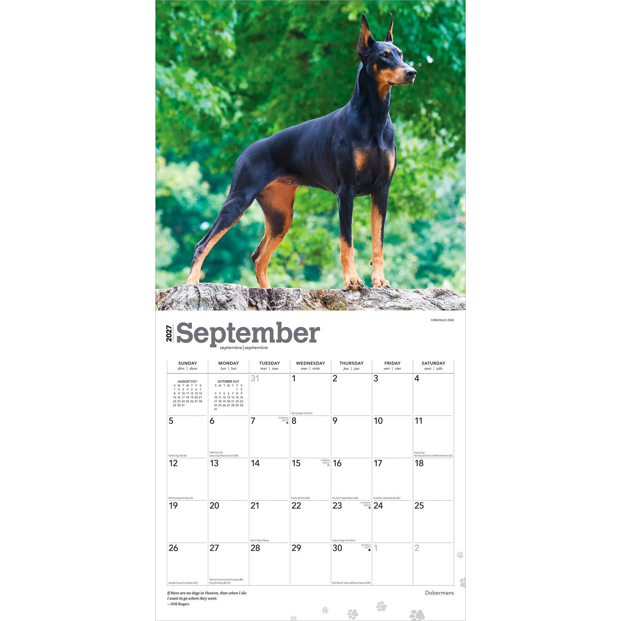 Dobermans 2027 Wall Calendar