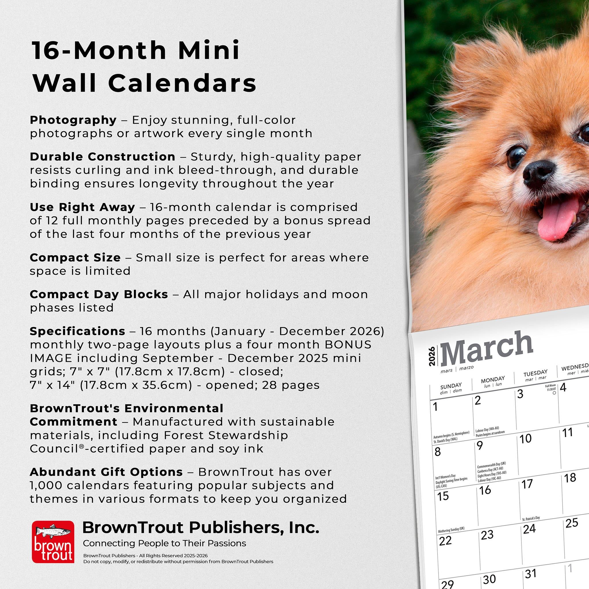 Pomeranians 2026 Mini Calendar