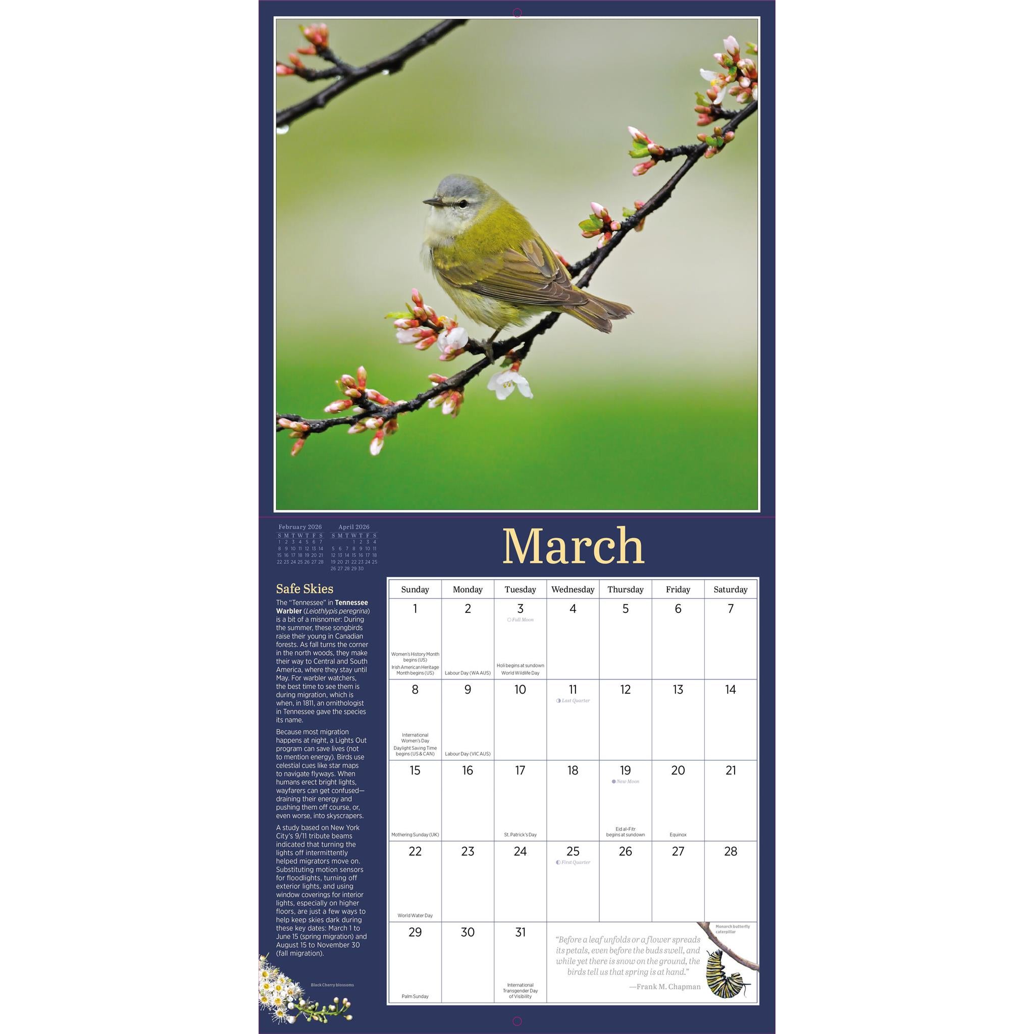 Calendrier mural Audubon Oiseaux du jardin 2026