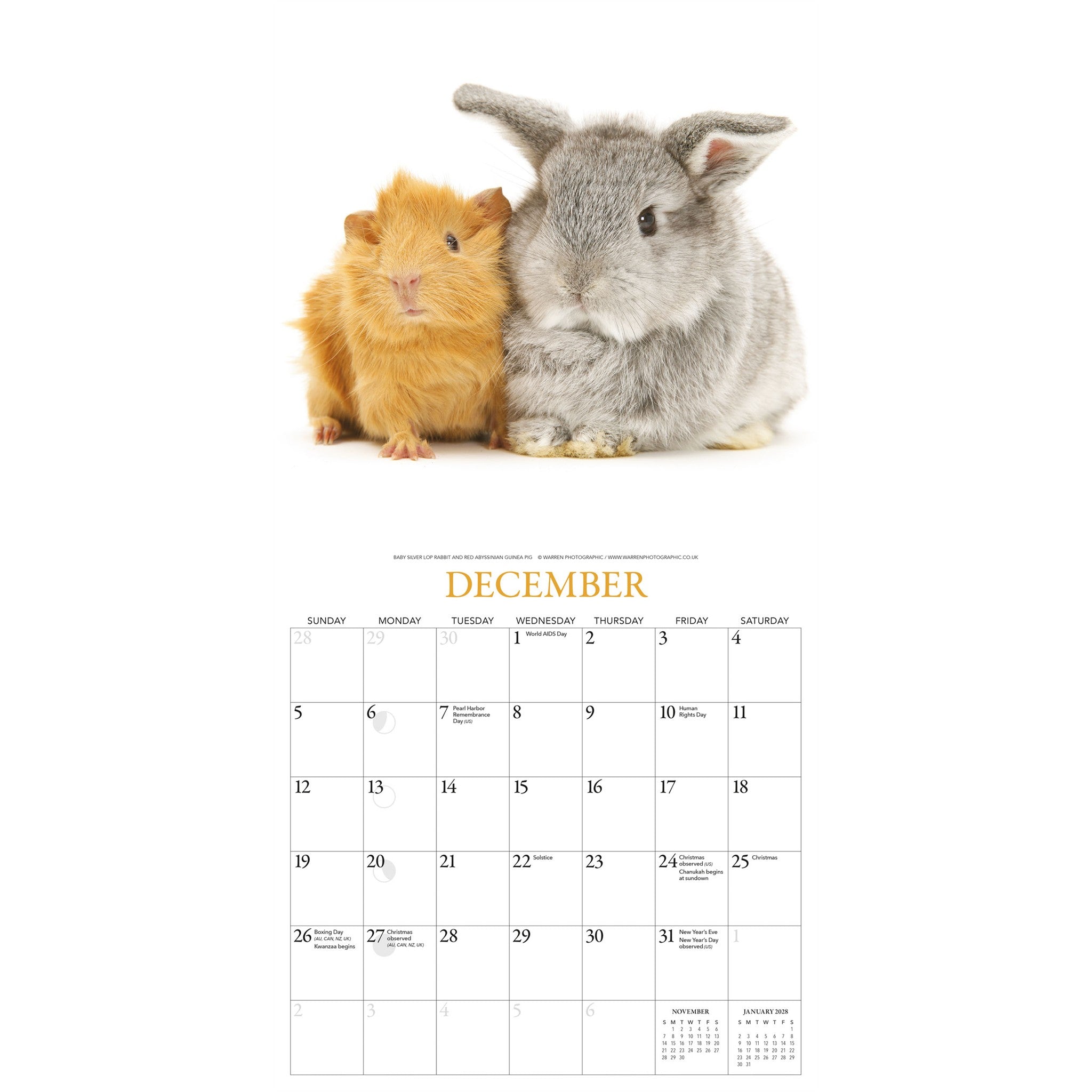 Calendrier mural 2027 Lapins et amis